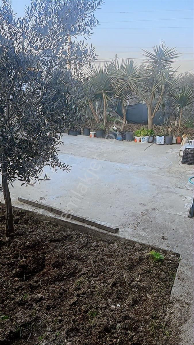 Urla İçmeler Mahallesi'nde Satılık | Bahçeli 3 Ayrı Girişli Ev - Görsel 9