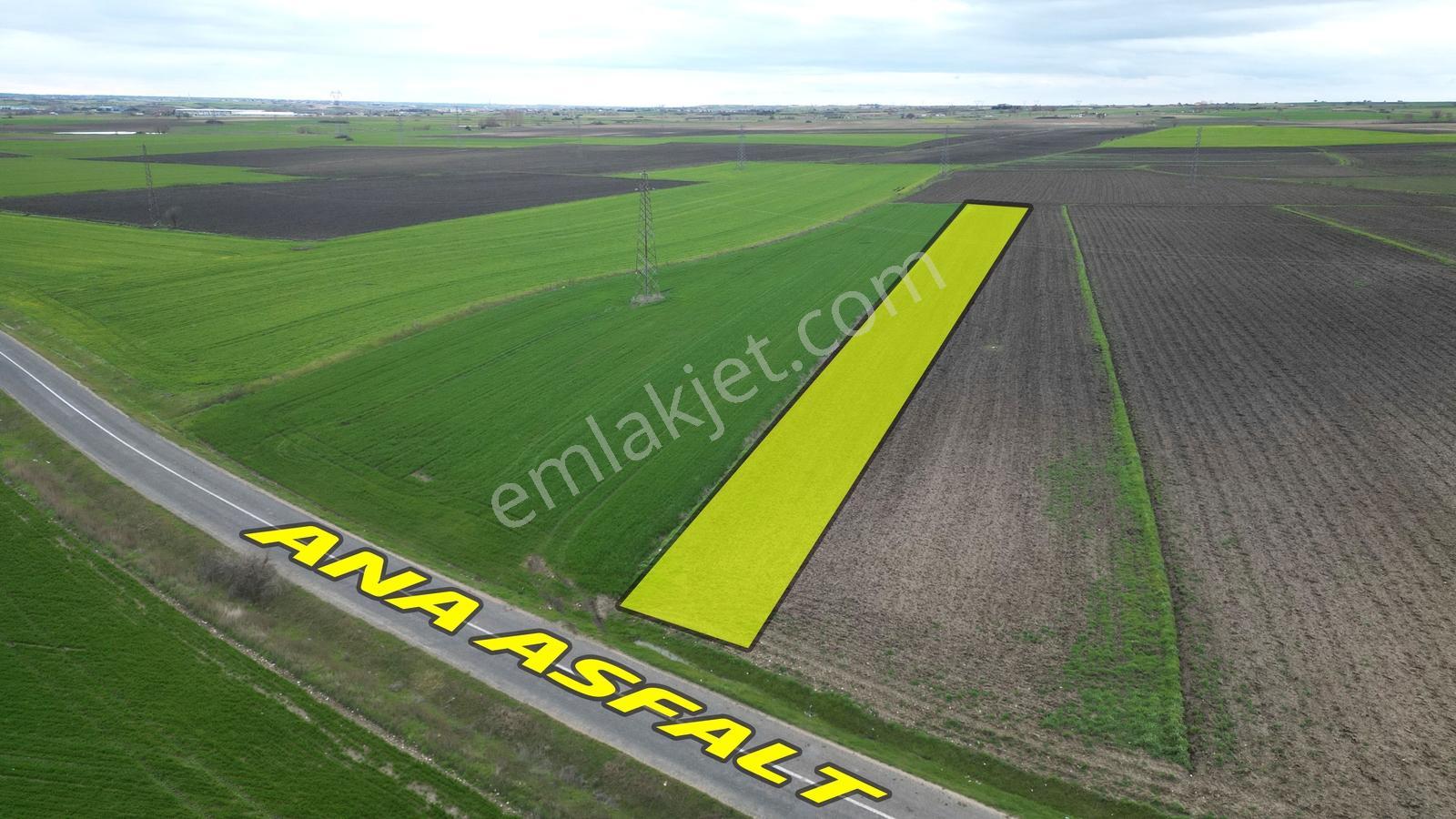 ꧁ Fırsat╠ Kemalpaşa Mah'de Asfalt Cephe Tek Tapu 1.252m² Arazi꧂ - Görsel 29