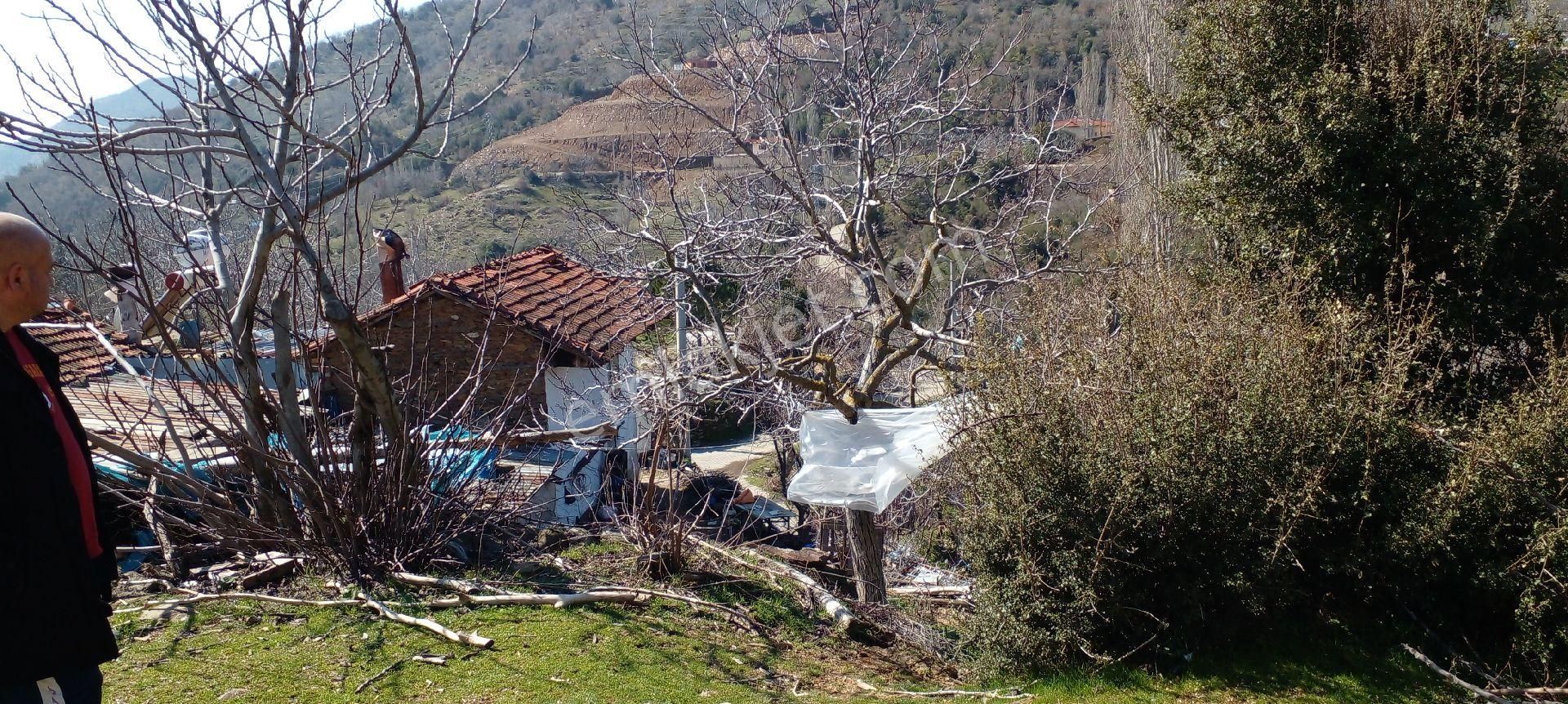 Tire Yamandere Köyü Satılık Kargir Ev Ve Ceviz Bahçesi - Görsel 13