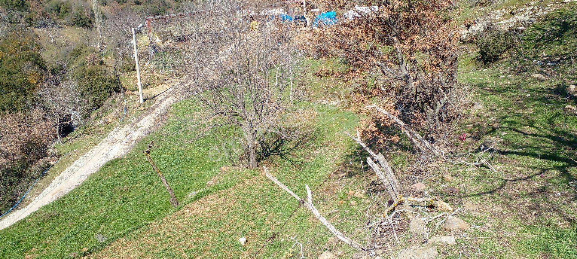 Tire Yamandere Köyü Satılık Kargir Ev Ve Ceviz Bahçesi - Görsel 16