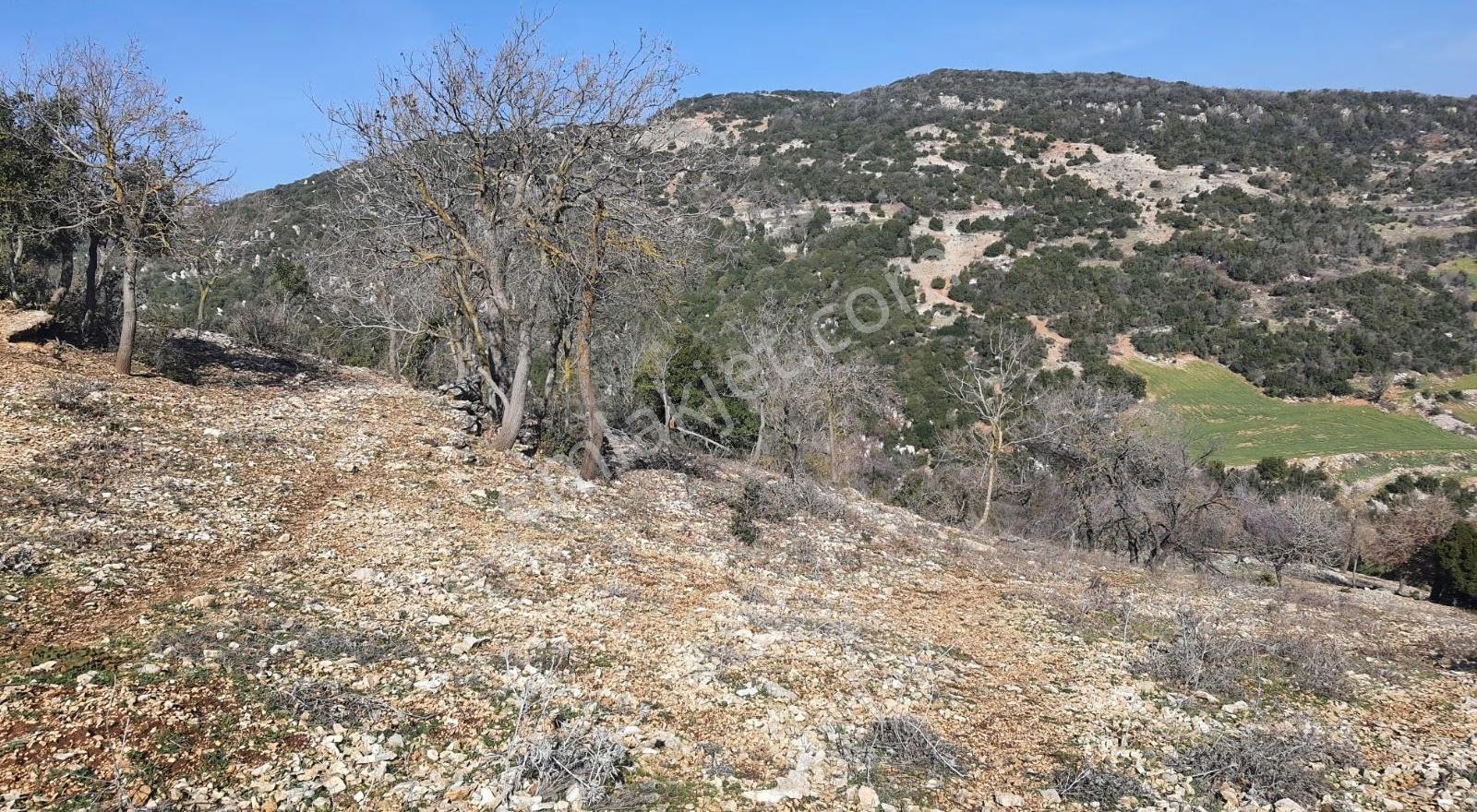 Yayladagi Ayışığı 15300 M2 - Görsel 11