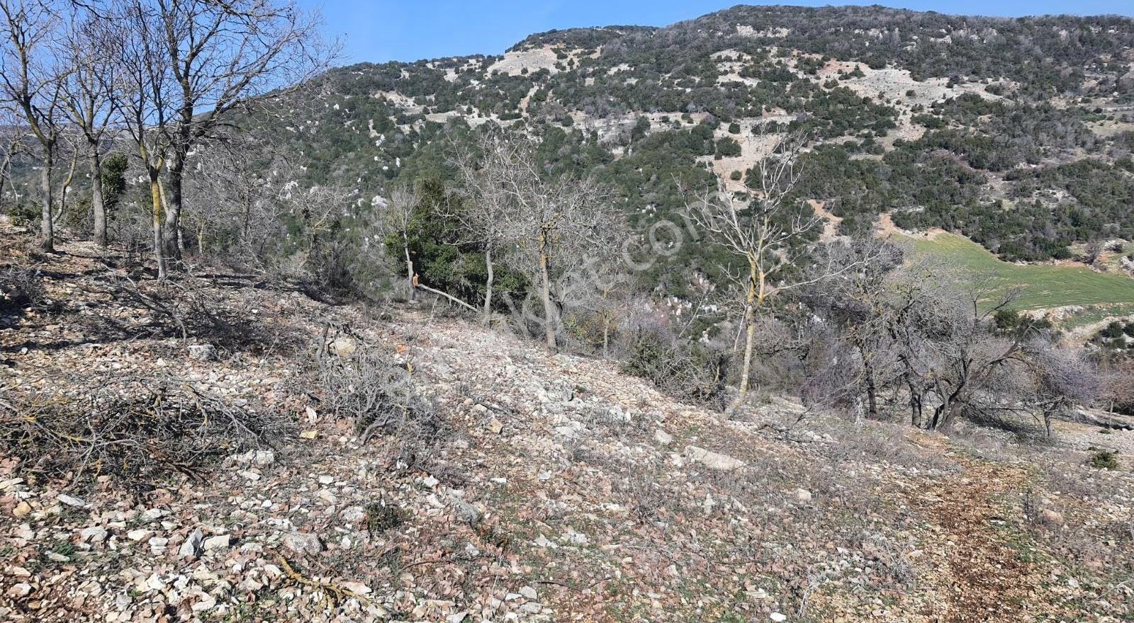 Yayladagi Ayışığı 15300 M2 - Görsel 13