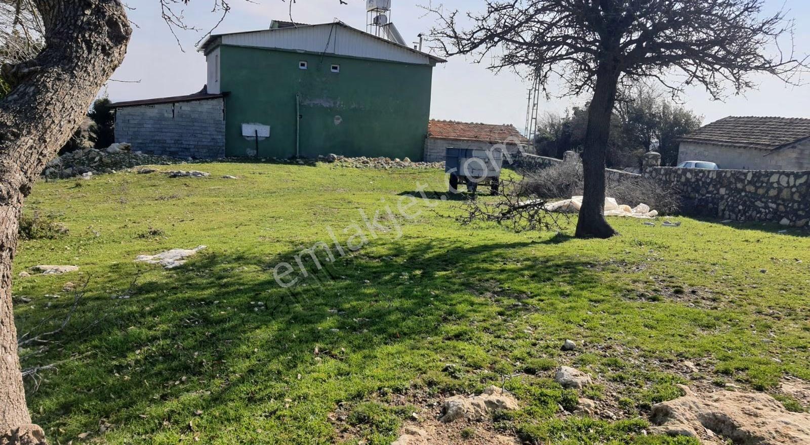 Yayladagi Ayışığı 15300 M2 - Görsel 21
