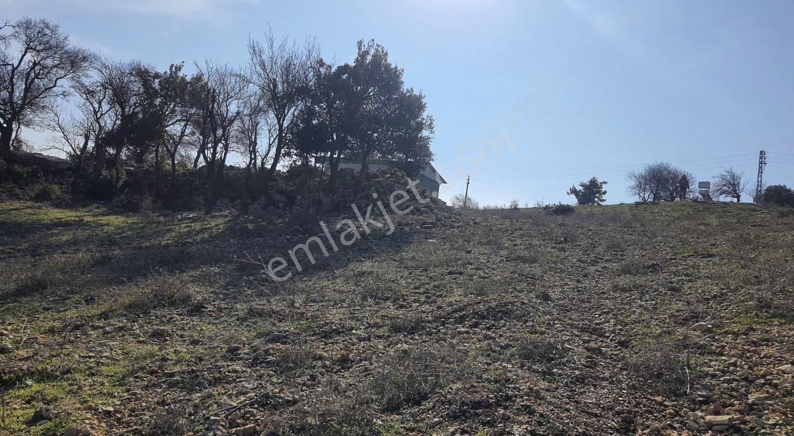 Yayladagi Ayışığı 15300 M2 - Görsel 10