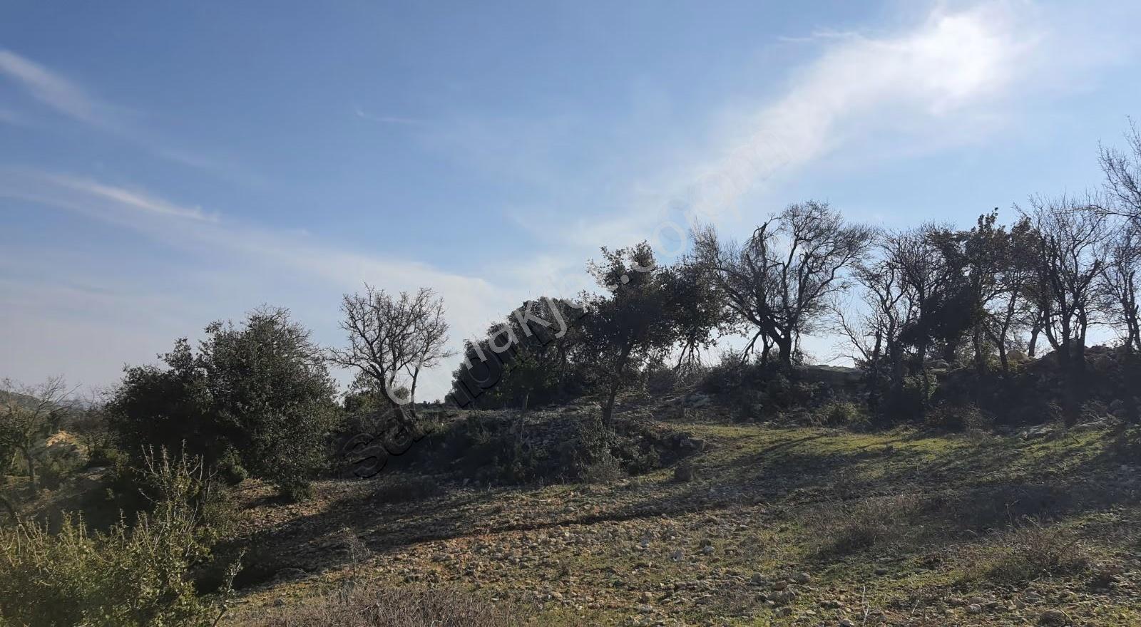 Yayladagi Ayışığı 15300 M2 - Görsel 6