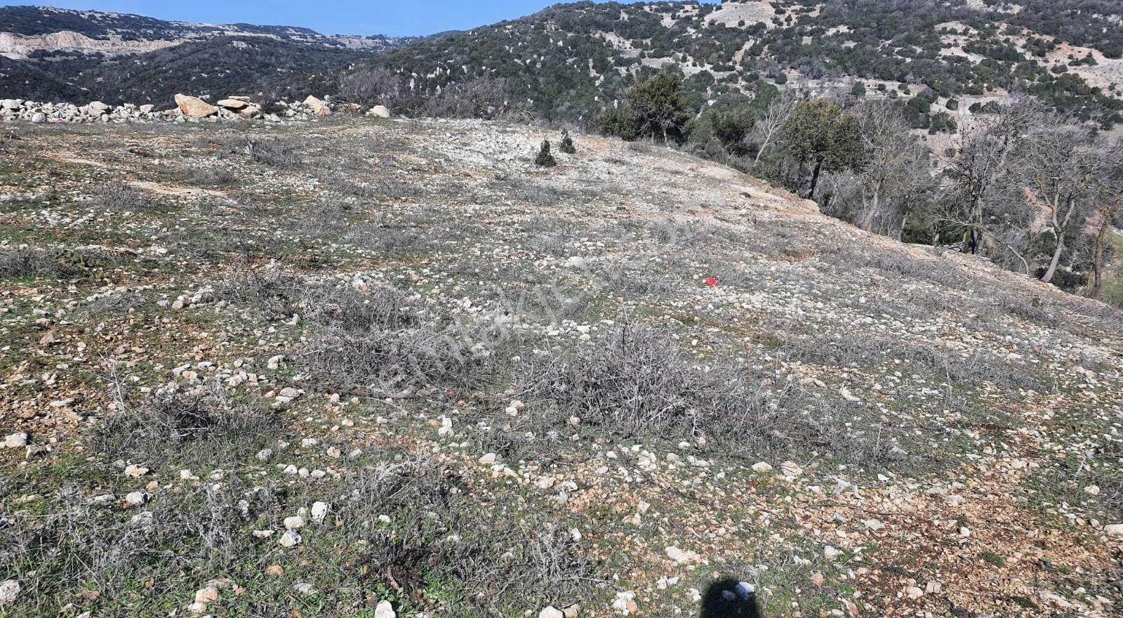 Yayladagi Ayışığı 15300 M2 - Görsel 12