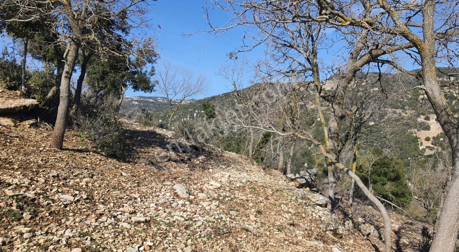 Yayladagi Ayışığı 15300 M2 - Görsel 9