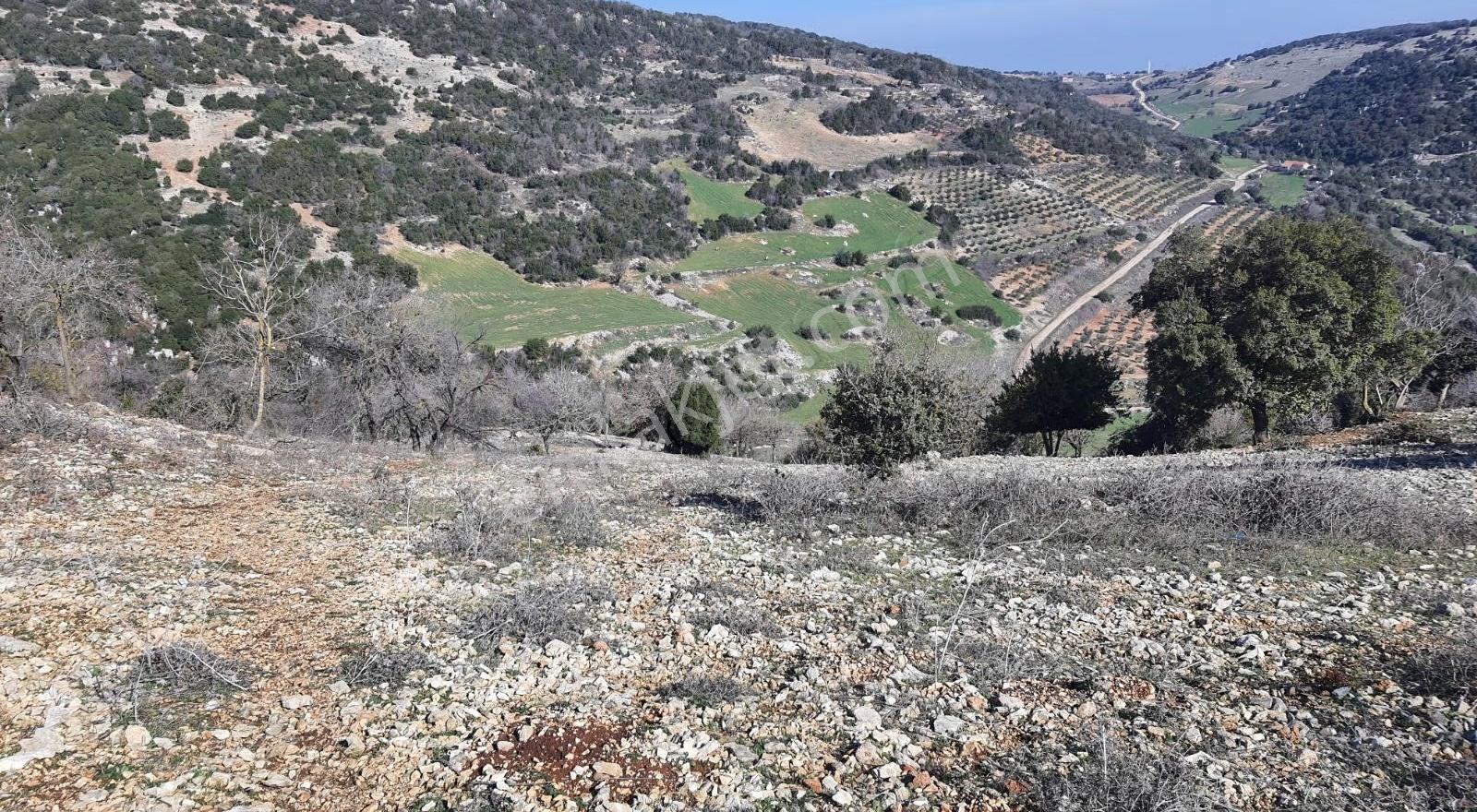 Yayladagi Ayışığı 15300 M2 - Görsel 18