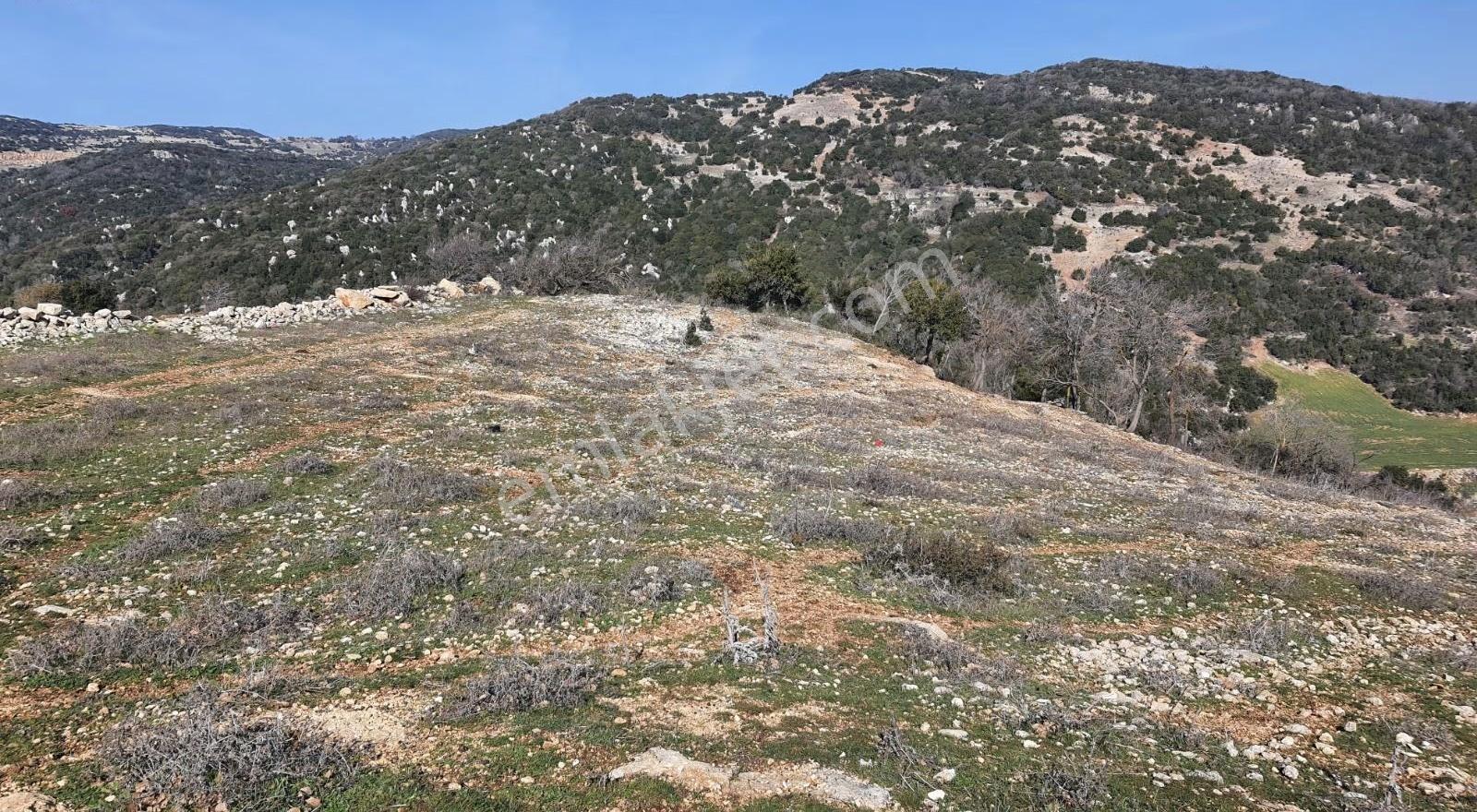 Yayladagi Ayışığı 15300 M2 - Görsel 7