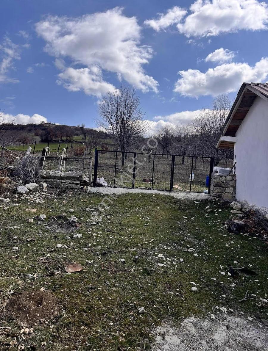 Afyon Yeşilhisarda 15 Yaşında 100adet Ceviz Bagevi Olan Tarla - Görsel 21
