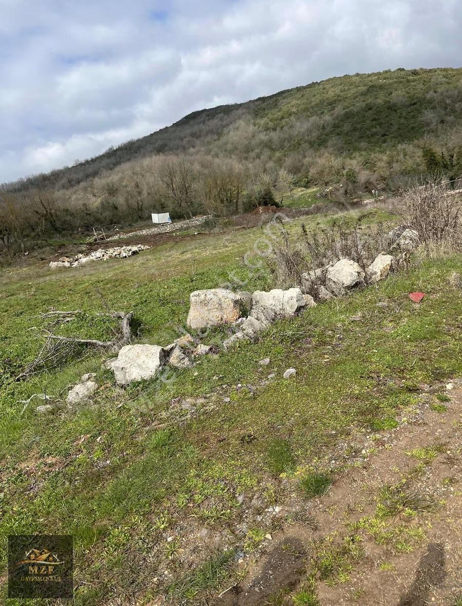 Körfez Cuma Köy Kadastro Yollu Arazi - Görsel 13