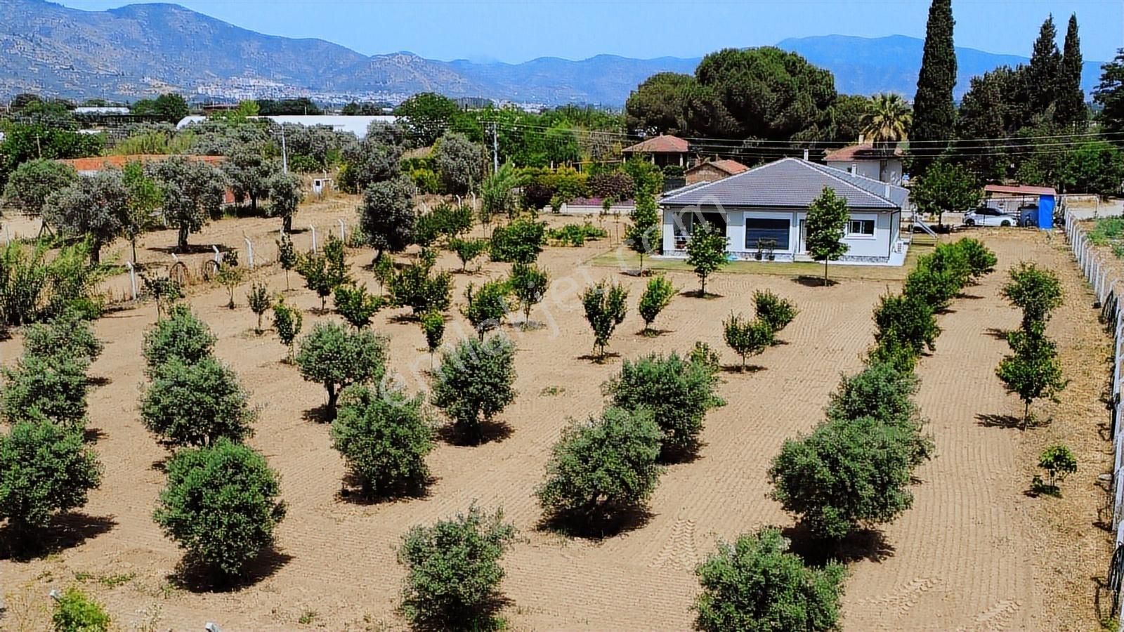İzmir'de 4 Dönüm Arazi İçinde Satılık Çiftlik Evi Villa - Görsel 3