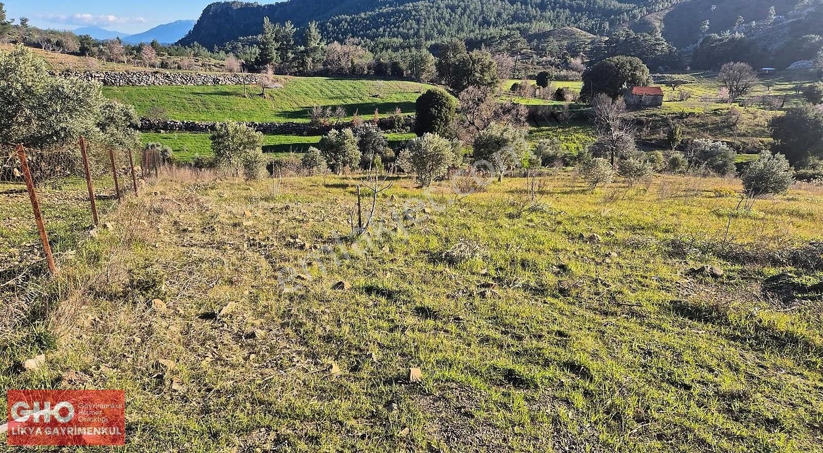 Gho'dan Dalaman Elcik'te Satılık Tarla - Görsel 2