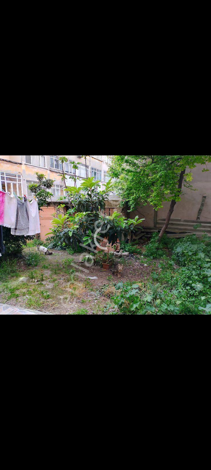 Eşyalı Evim Temiz Ve Tüm - Görsel 19