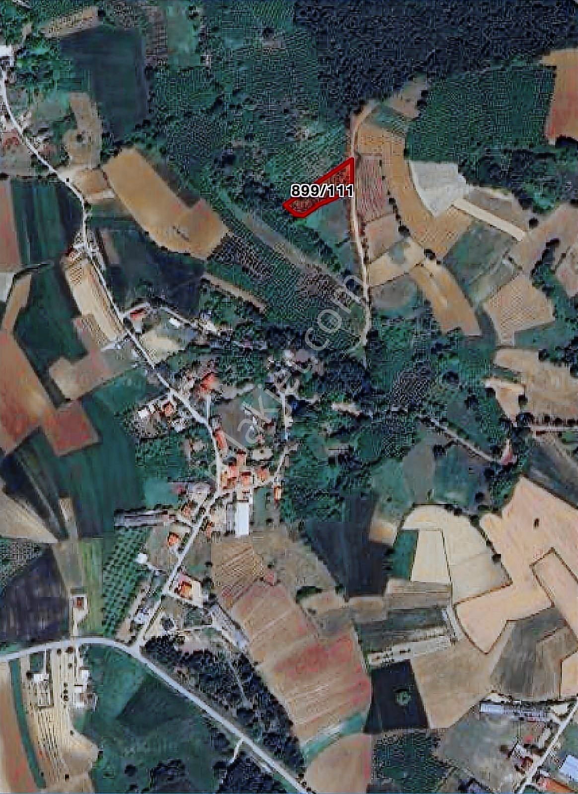 Remax Hür Ayfer Sever'den Kaynarca -osmanlı Satılık Tarla - Görsel 3