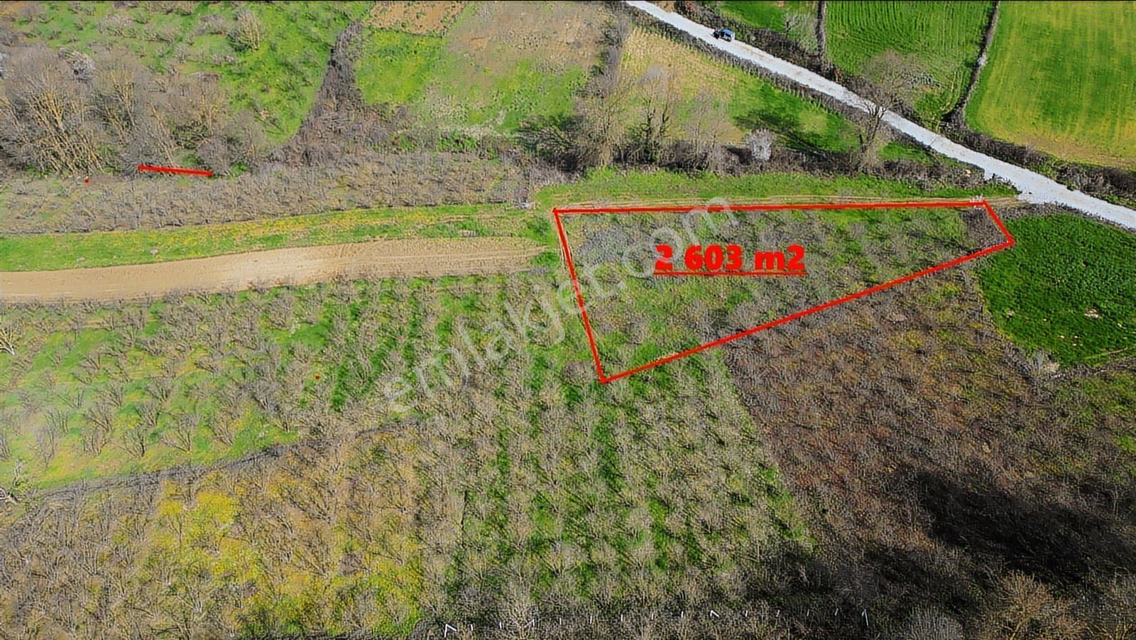 Remax Hür Ayfer Sever'den Köyiçi İmarlı Kaynarca Osmanlı 2391 M2 - Görsel 6