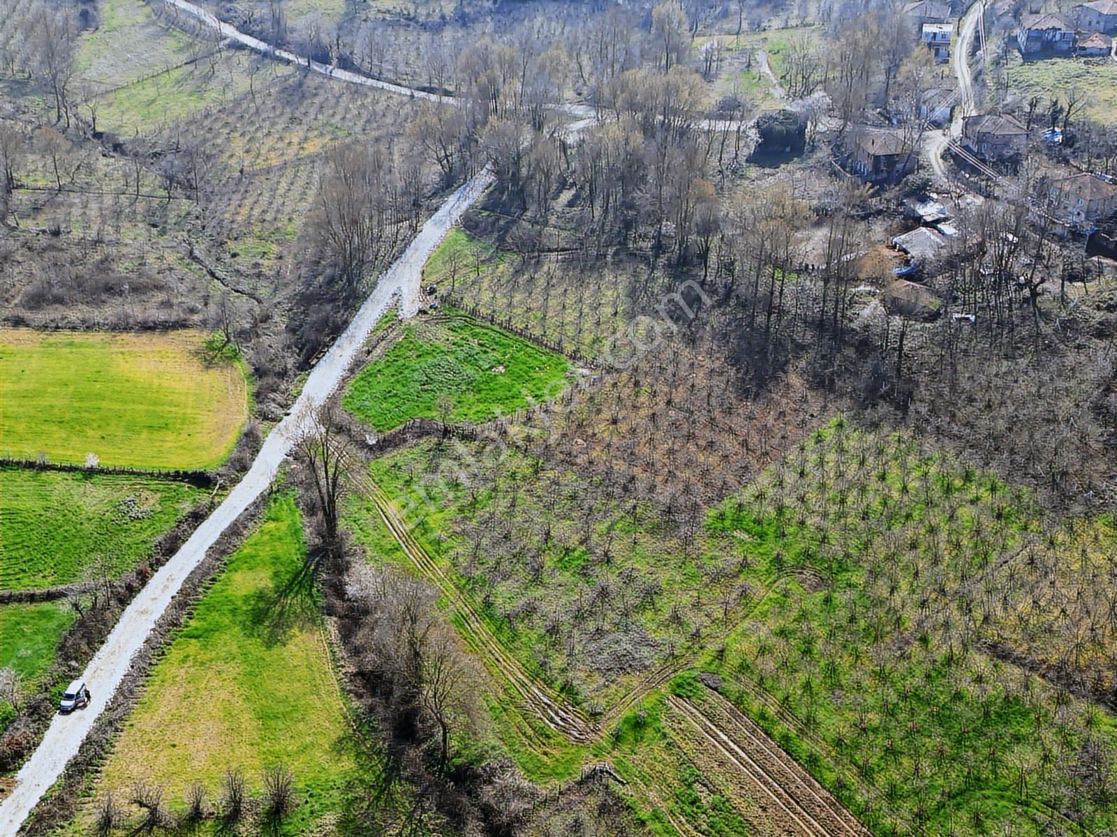 Remaxhür Ayfer Sever'den Kaynarca Osmanlı Satılık 2603 M2 Köyiçi - Görsel 7