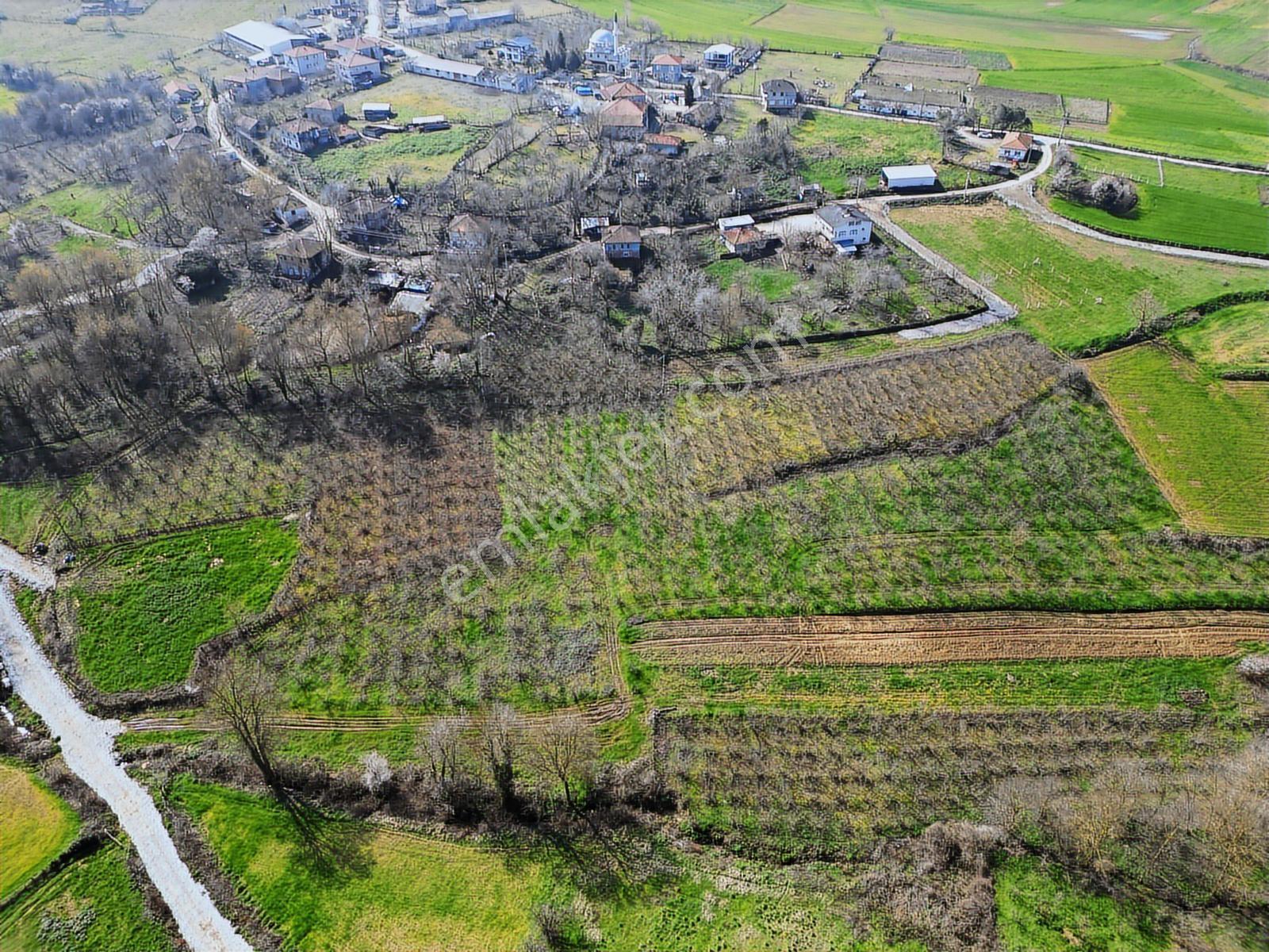Remaxhür Ayfer Sever'den Kaynarca Osmanlı Satılık 2603 M2 Köyiçi