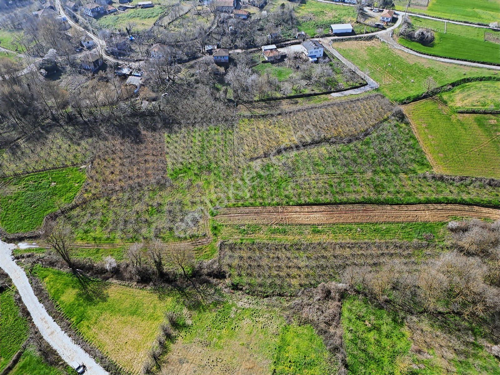 Remaxhür Ayfer Sever'den Kaynarca Osmanlı Satılık 2603 M2 Köyiçi - Görsel 6