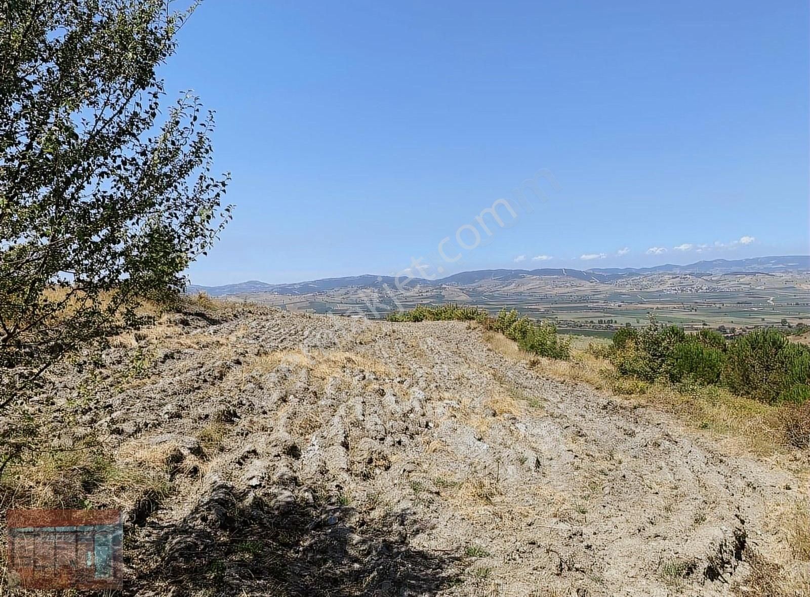 Aktaş 'tan Yenişehir Akdere Mah 1960 M2 Sanayi Yakın Arazi - Görsel 2