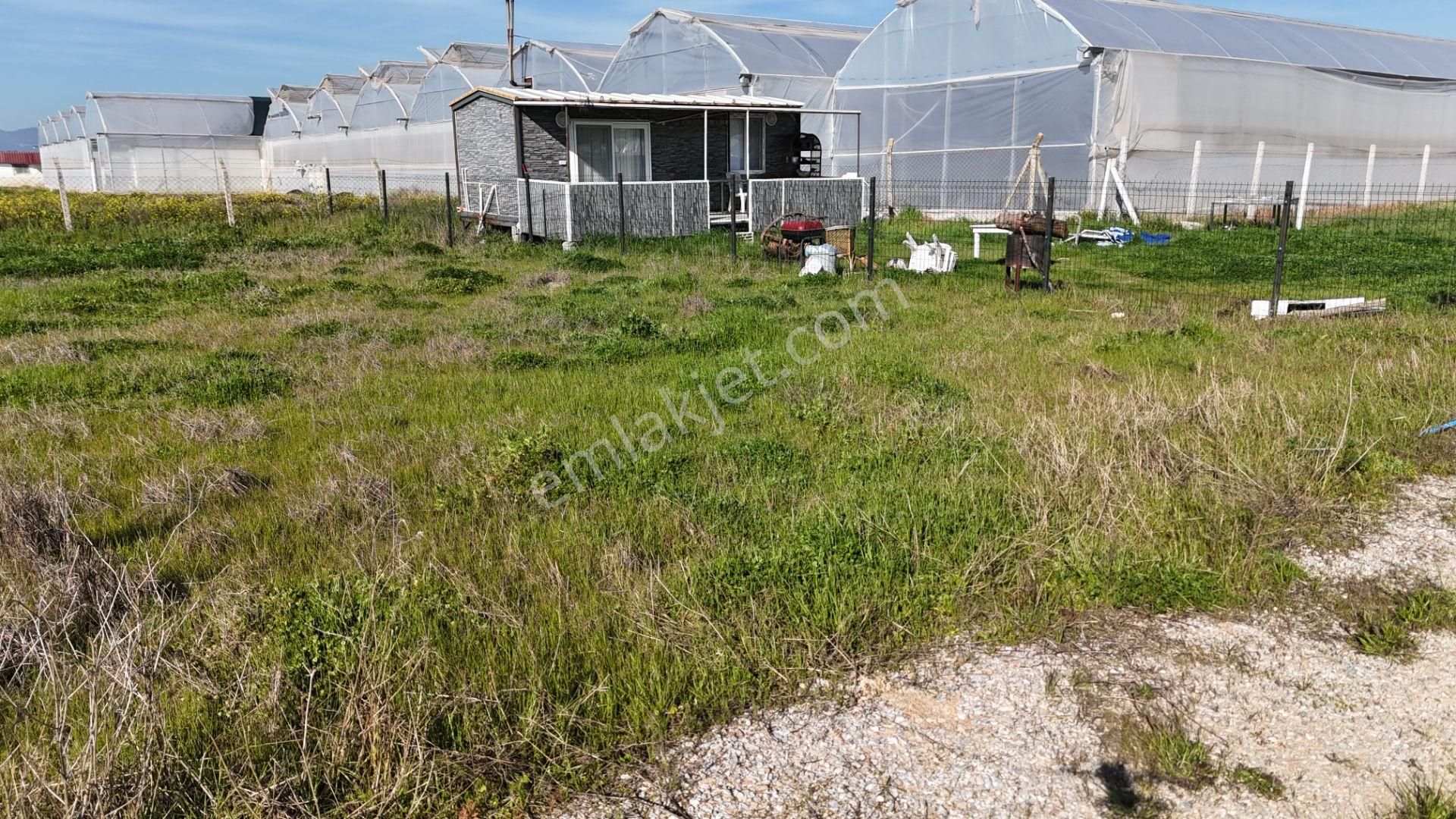 İzmir Menderes Tekelide 2tane Yan-yana Noter Satışlı 300 M2 Elektrik+su Var Bahçe - Görsel 21
