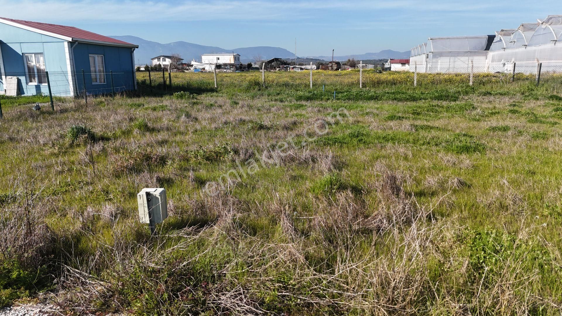 İzmir Menderes Tekelide 2tane Yan-yana Noter Satışlı 300 M2 Elektrik+su Var Bahçe - Görsel 34