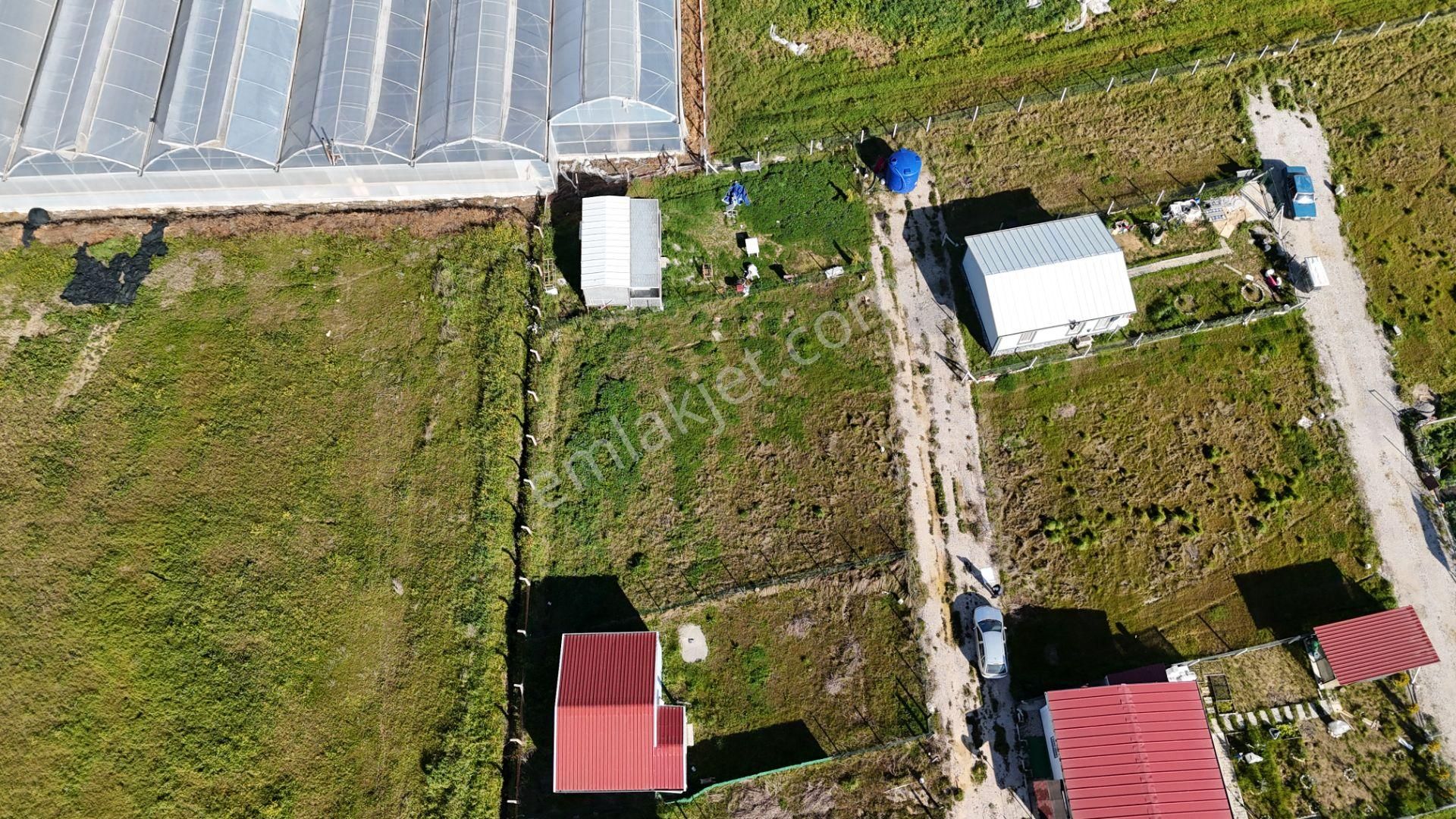 İzmir Menderes Tekelide 2tane Yan-yana Noter Satışlı 300 M2 Elektrik+su Var Bahçe - Görsel 32