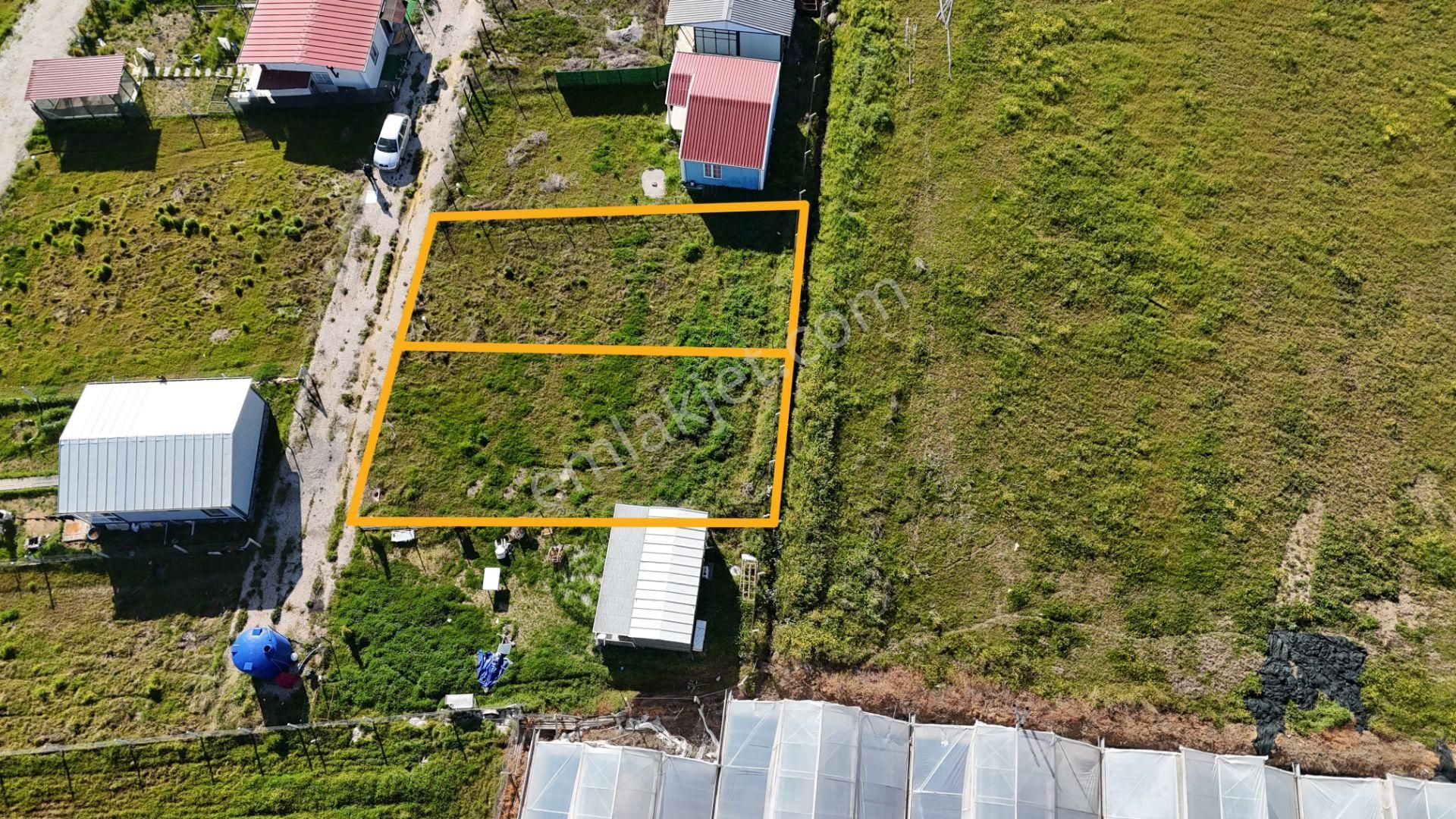 İzmir Menderes Tekelide 2tane Yan-yana Noter Satışlı 300 M2 Elektrik+su Var Bahçe - Görsel 6