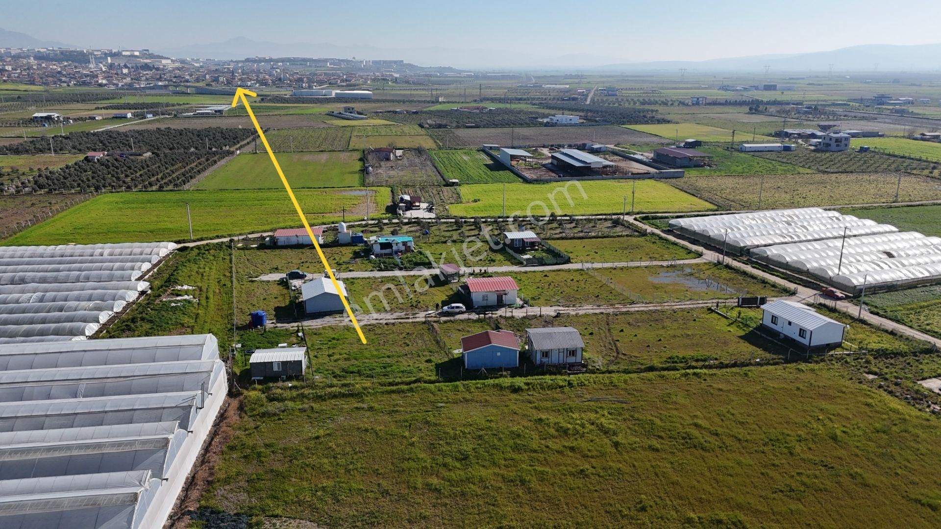 İzmir Menderes Tekelide 2tane Yan-yana Noter Satışlı 300 M2 Elektrik+su Var Bahçe - Görsel 12