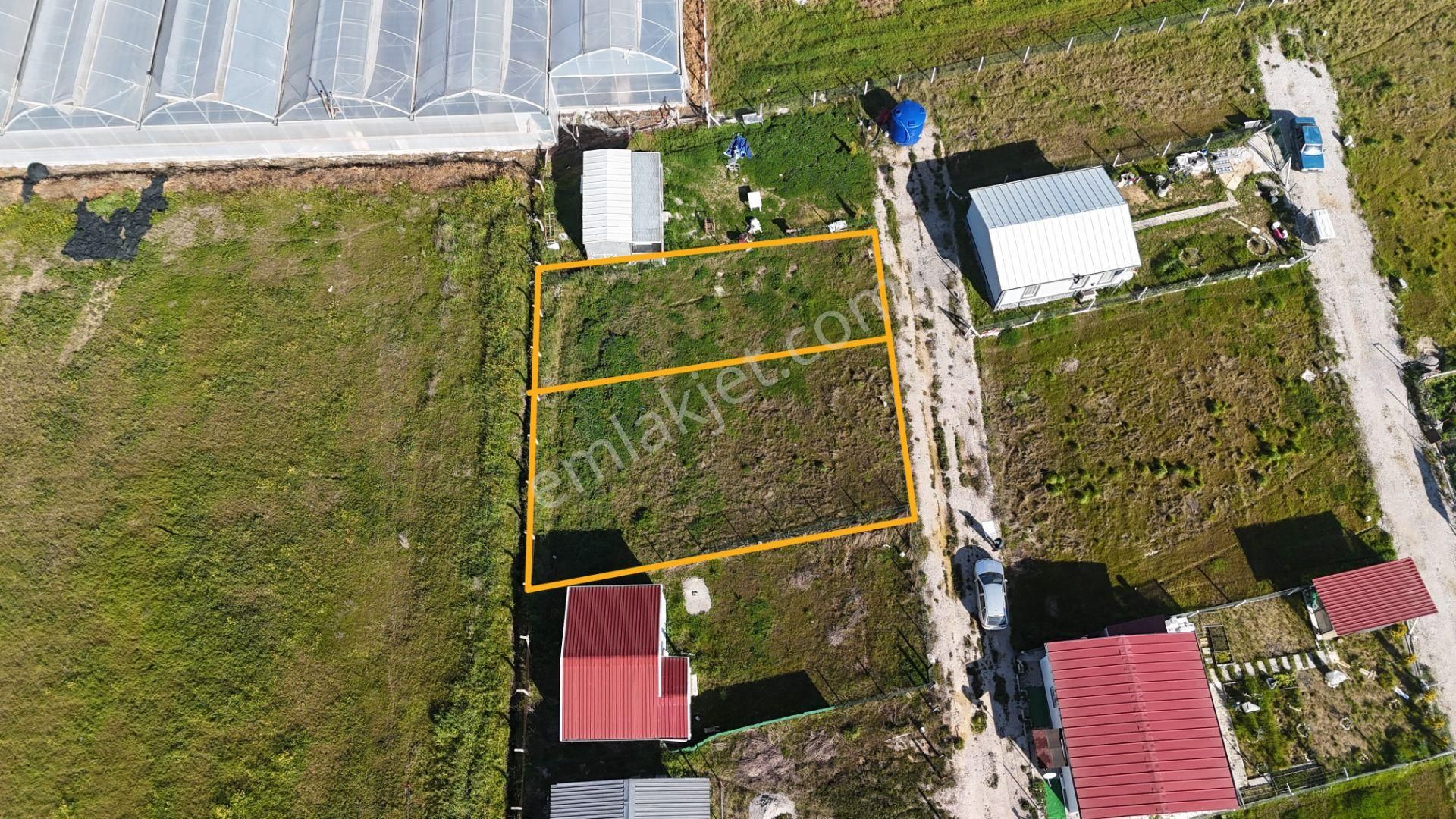 İzmir Menderes Tekelide 2tane Yan-yana Noter Satışlı 300 M2 Elektrik+su Var Bahçe - Görsel 17
