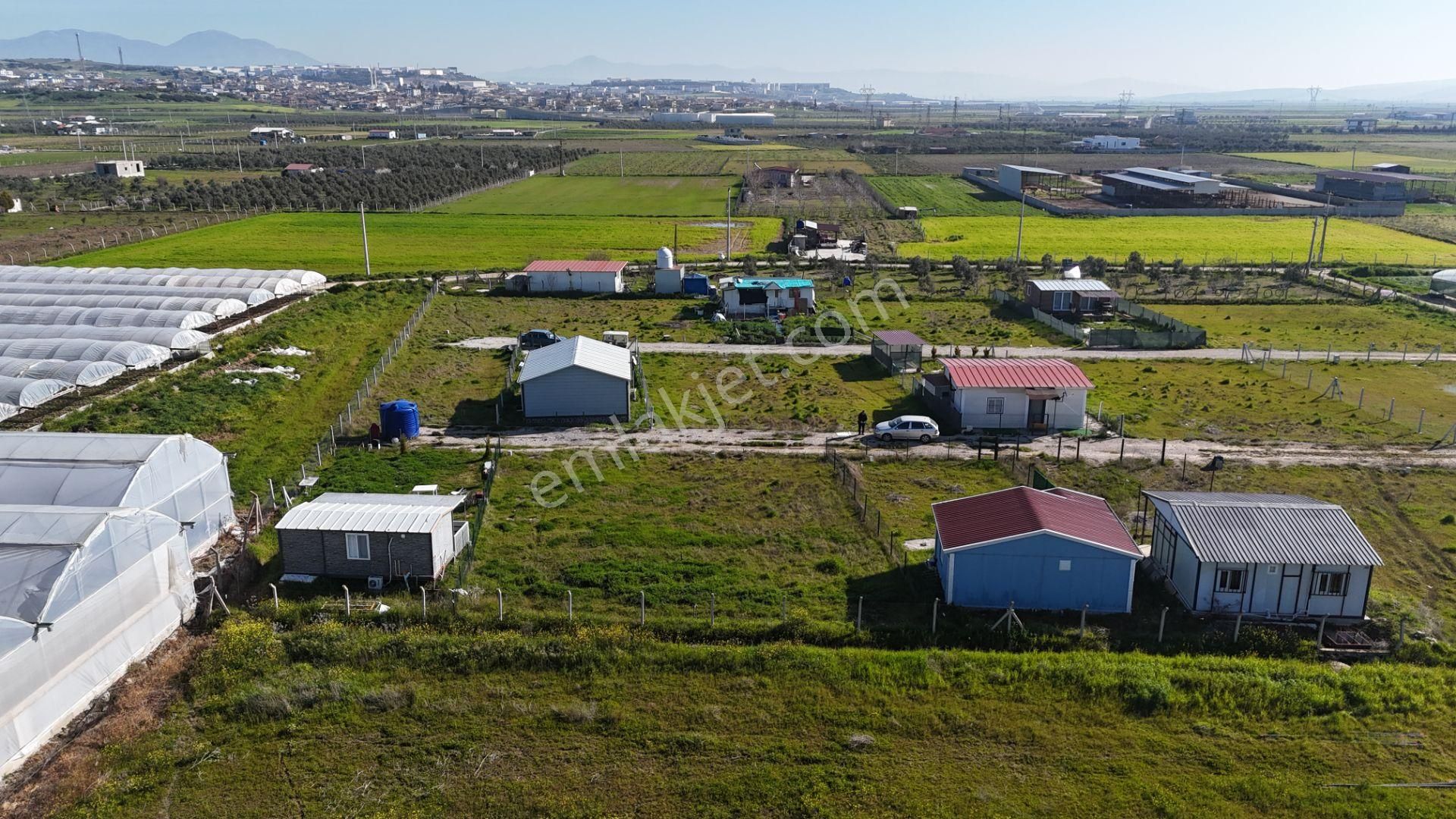 İzmir Menderes Tekelide 2tane Yan-yana Noter Satışlı 300 M2 Elektrik+su Var Bahçe - Görsel 19