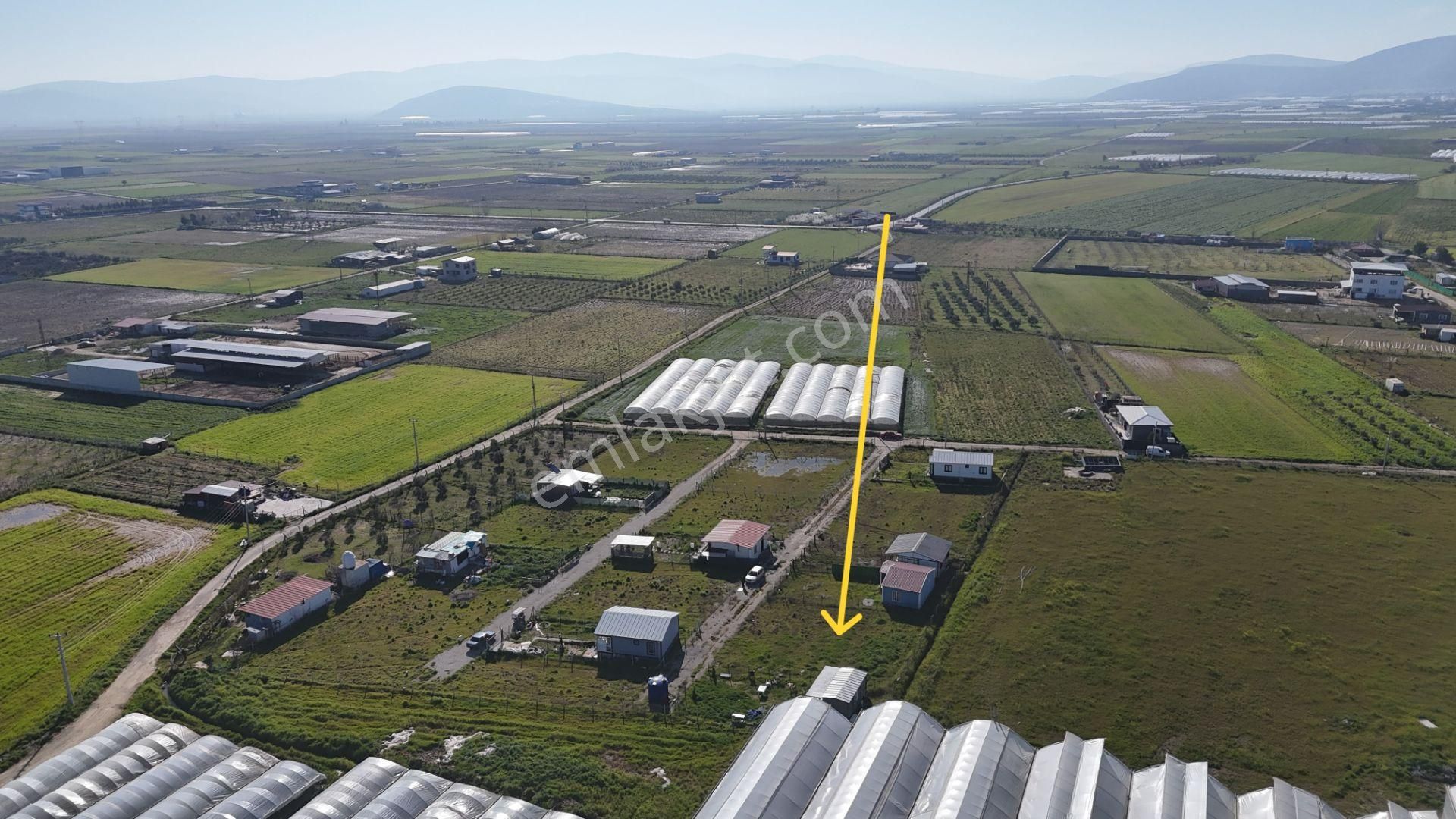İzmir Menderes Tekelide 2tane Yan-yana Noter Satışlı 300 M2 Elektrik+su Var Bahçe - Görsel 10