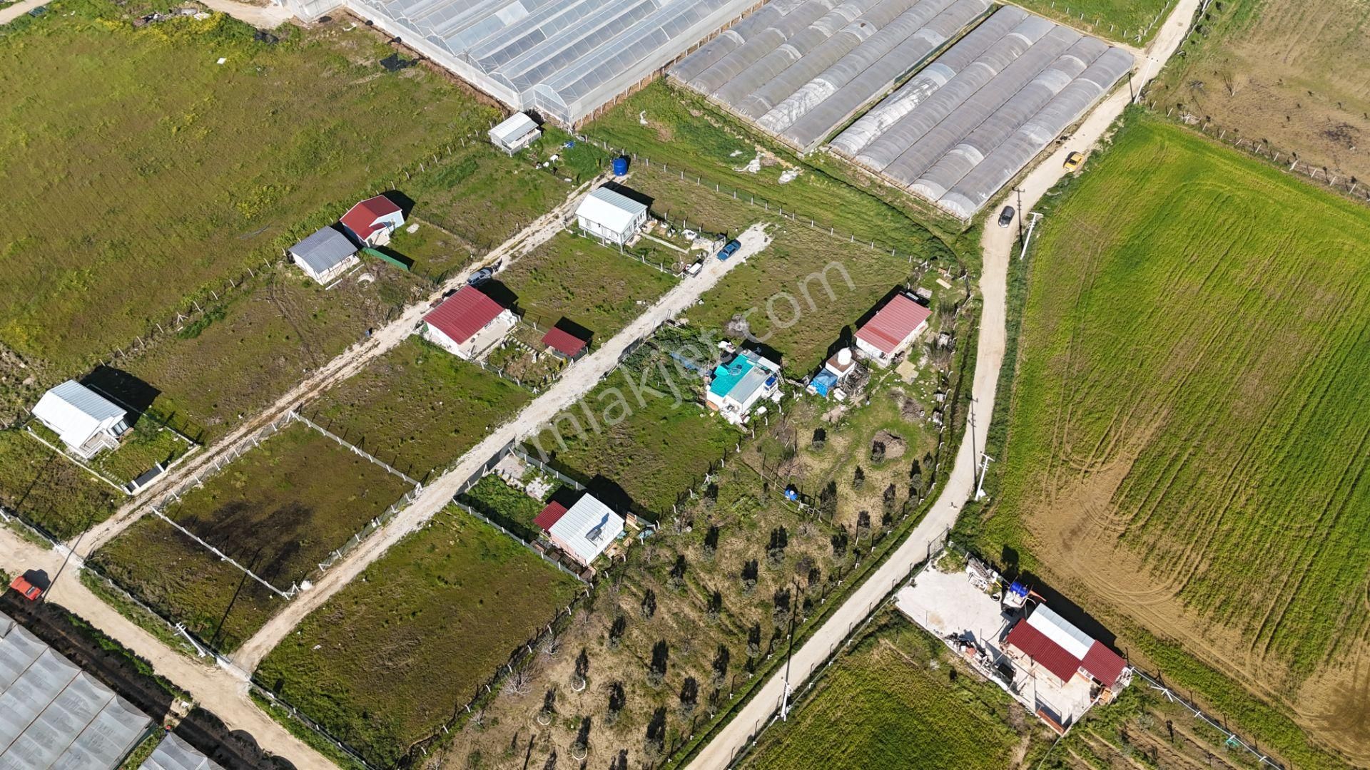 İzmir Menderes Tekelide 2tane Yan-yana Noter Satışlı 300 M2 Elektrik+su Var Bahçe - Görsel 18