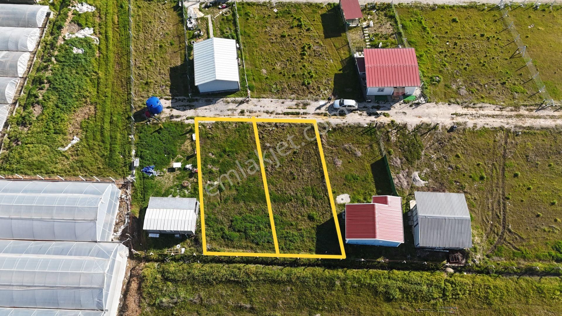 İzmir Menderes Tekelide 2tane Yan-yana Noter Satışlı 300 M2 Elektrik+su Var Bahçe - Görsel 4