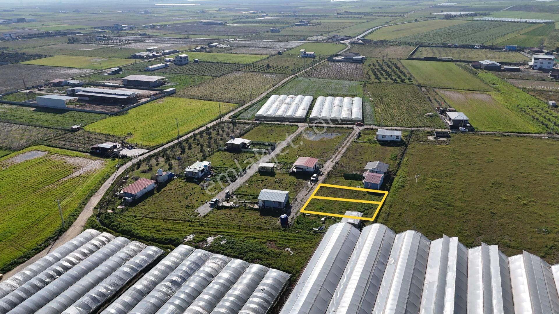 İzmir Menderes Tekelide 2tane Yan-yana Noter Satışlı 300 M2 Elektrik+su Var Bahçe - Görsel 8