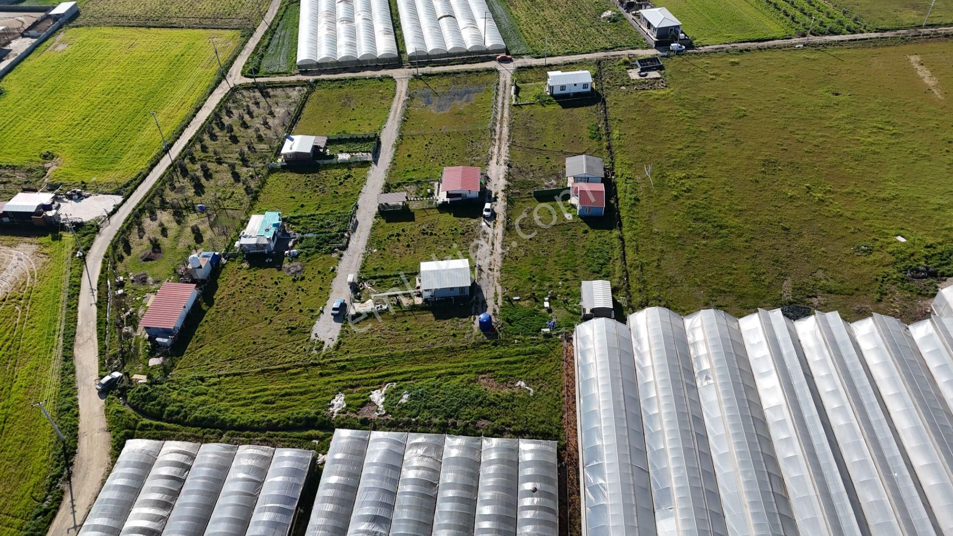 İzmir Menderes Tekelide 2tane Yan-yana Noter Satışlı 300 M2 Elektrik+su Var Bahçe - Görsel 22