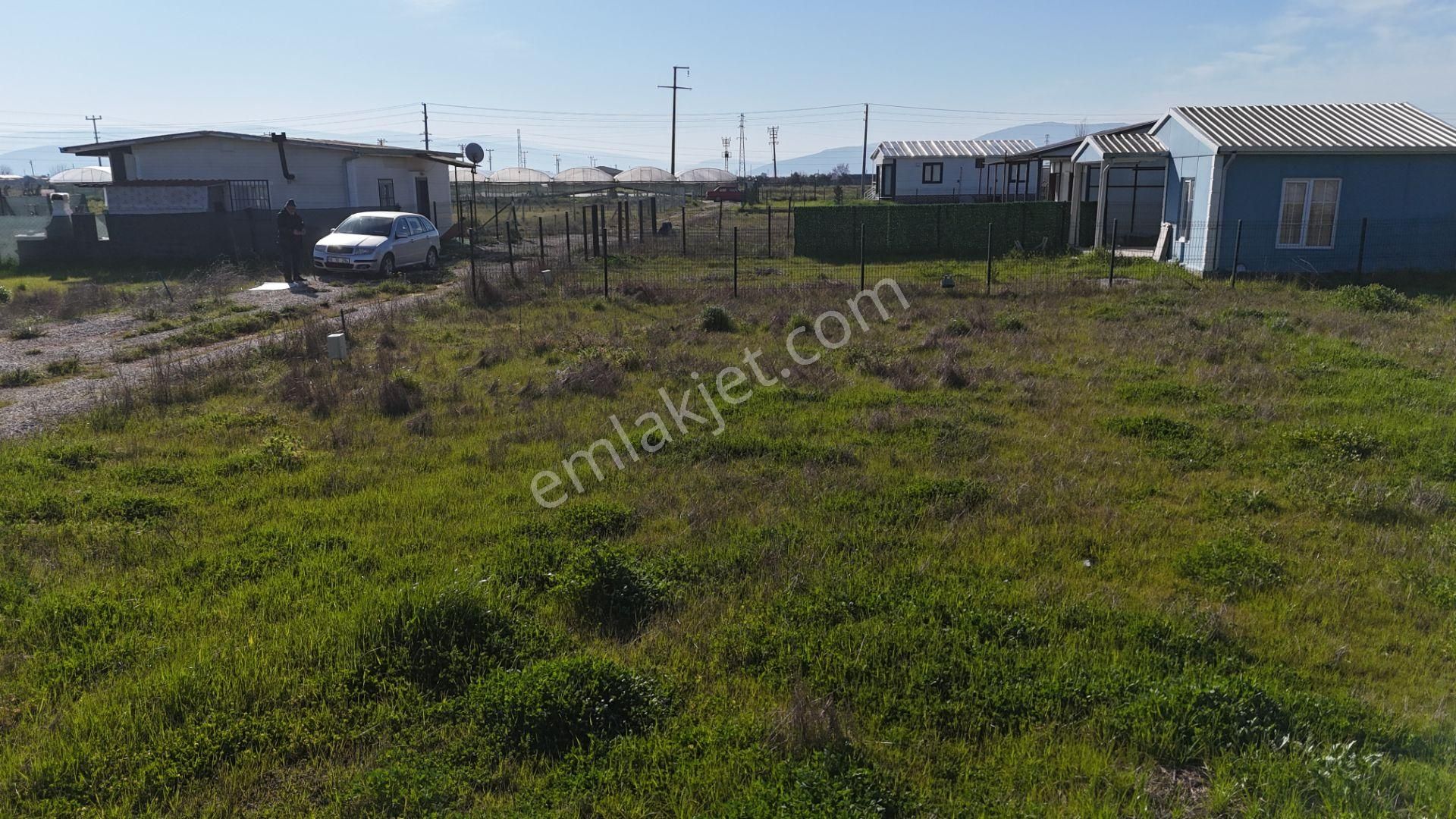 İzmir Menderes Tekelide 2tane Yan-yana Noter Satışlı 300 M2 Elektrik+su Var Bahçe - Görsel 30