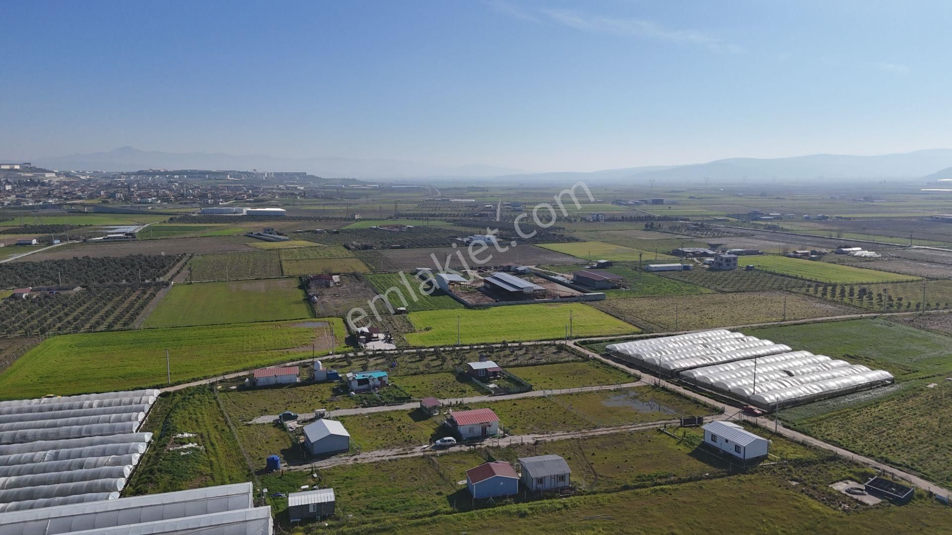 İzmir Menderes Tekelide 2tane Yan-yana Noter Satışlı 300 M2 Elektrik+su Var Bahçe - Görsel 7
