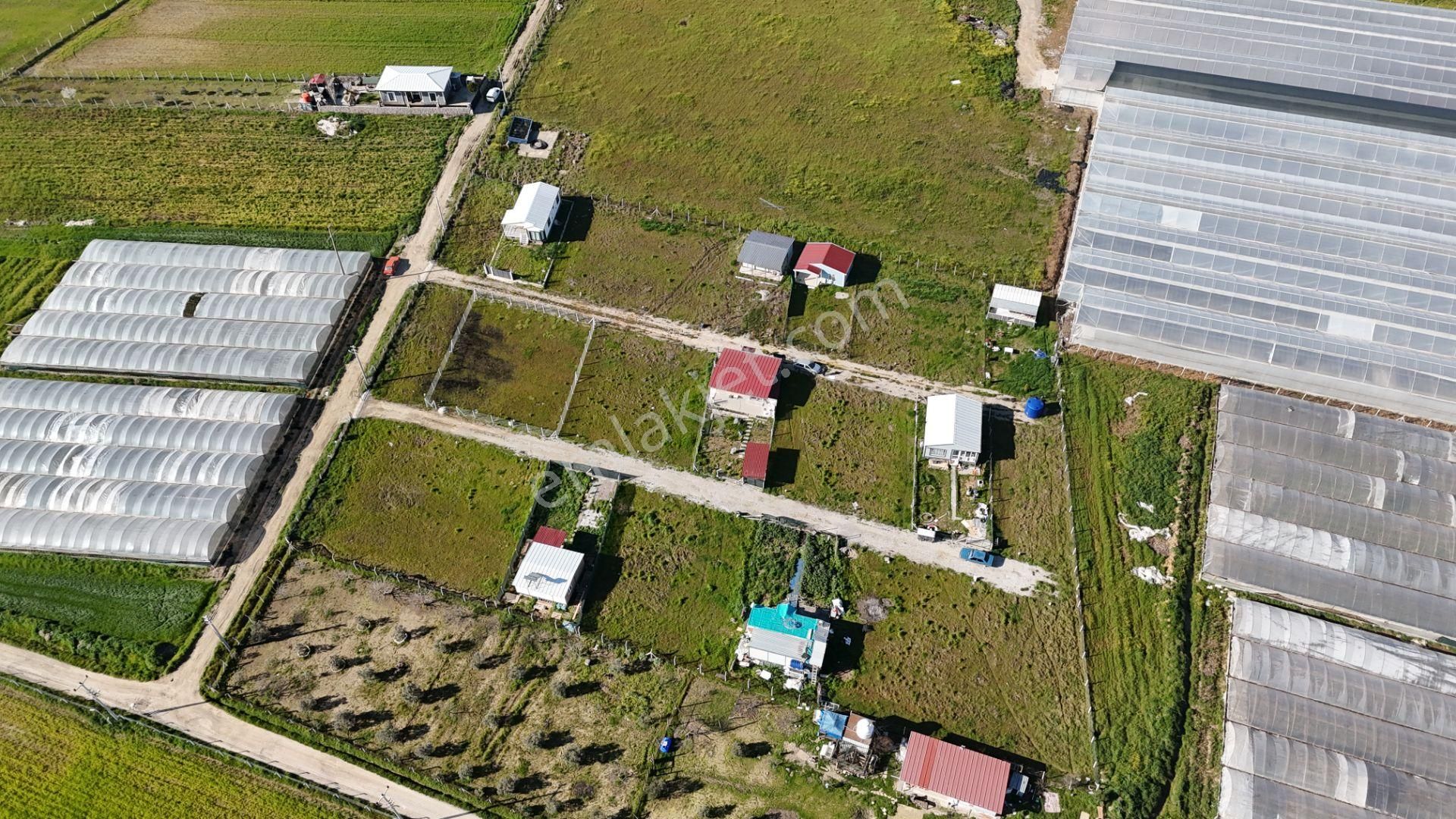 İzmir Menderes Tekelide 2tane Yan-yana Noter Satışlı 300 M2 Elektrik+su Var Bahçe - Görsel 15
