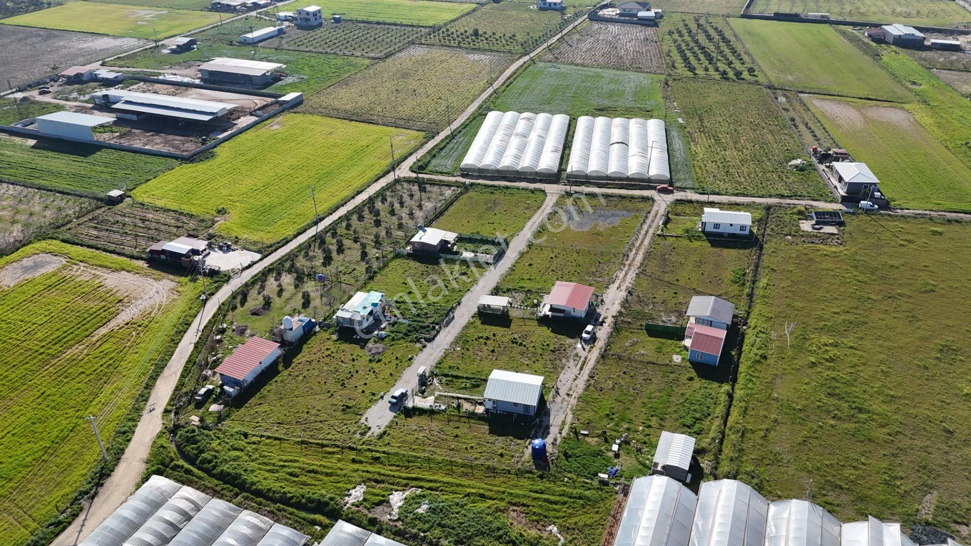 İzmir Menderes Tekelide 2tane Yan-yana Noter Satışlı 300 M2 Elektrik+su Var Bahçe - Görsel 9
