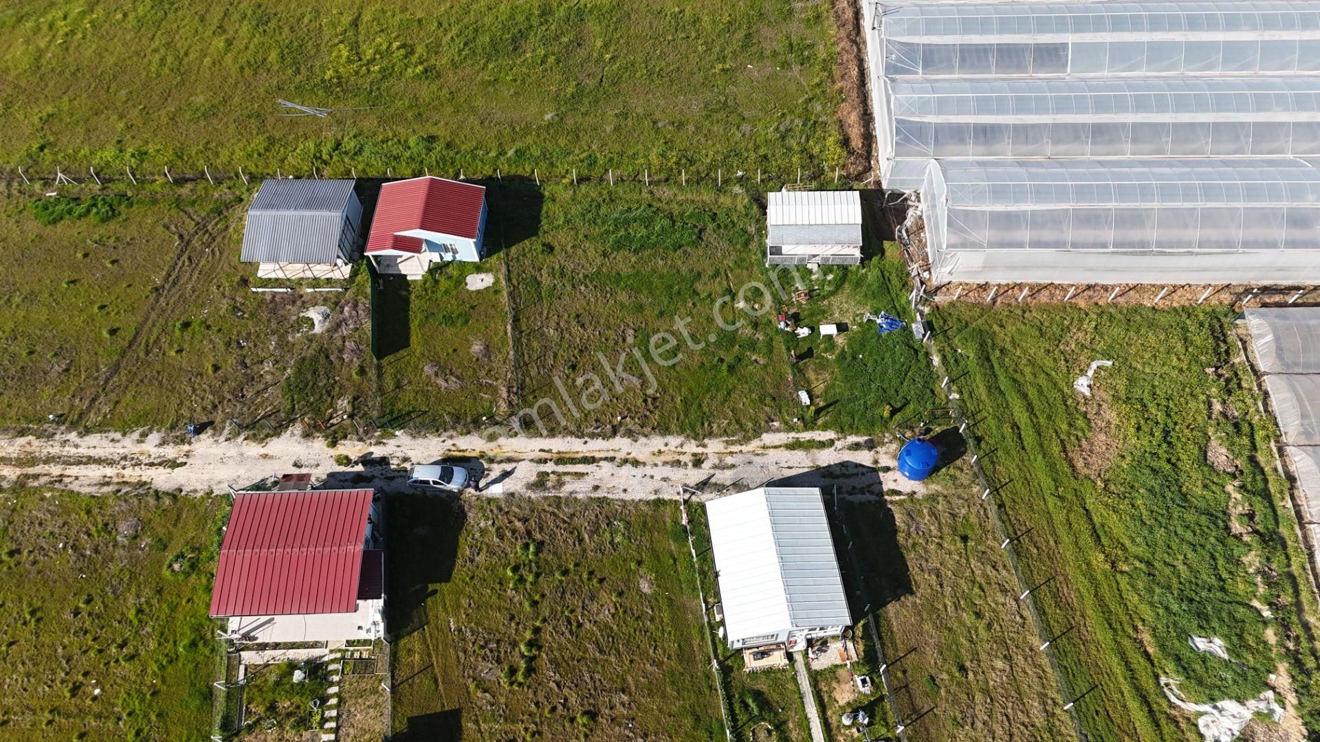 İzmir Menderes Tekelide 2tane Yan-yana Noter Satışlı 300 M2 Elektrik+su Var Bahçe - Görsel 23