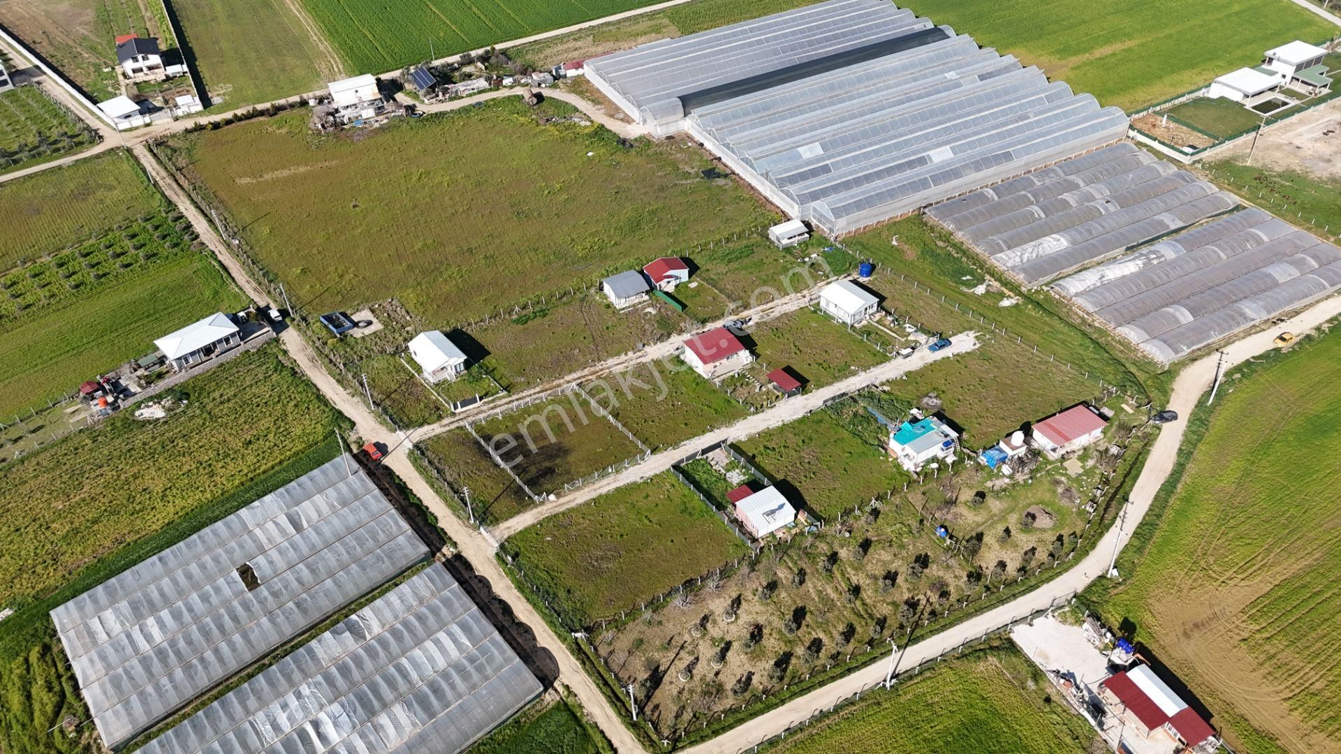 İzmir Menderes Tekelide 2tane Yan-yana Noter Satışlı 300 M2 Elektrik+su Var Bahçe - Görsel 20
