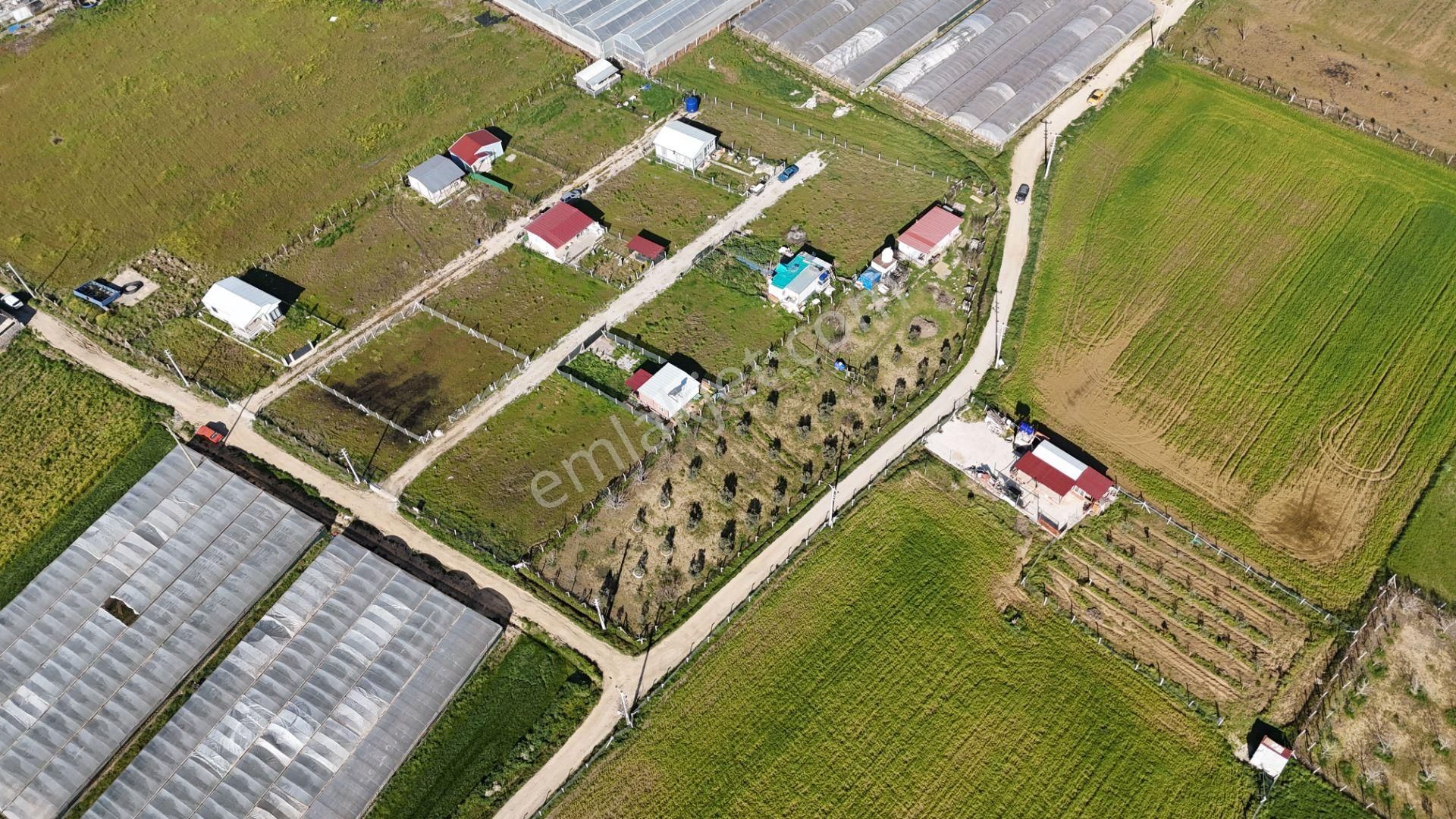İzmir Menderes Tekelide 2tane Yan-yana Noter Satışlı 300 M2 Elektrik+su Var Bahçe - Görsel 24