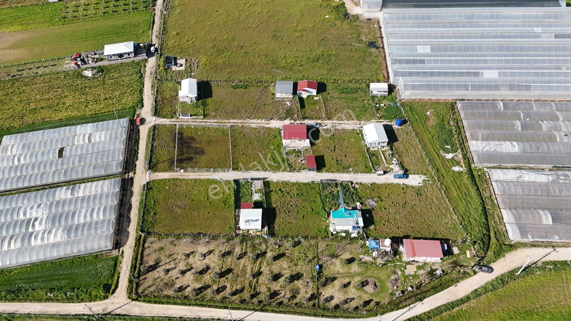 İzmir Menderes Tekelide 2tane Yan-yana Noter Satışlı 300 M2 Elektrik+su Var Bahçe - Görsel 26