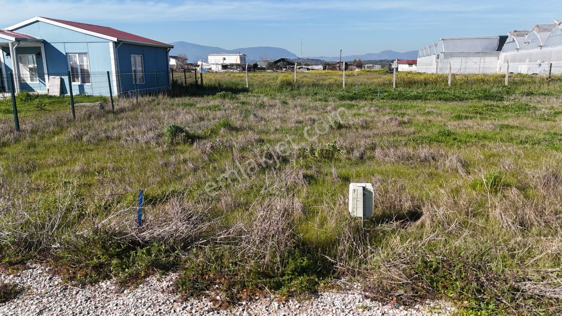 İzmir Menderes Tekelide 2tane Yan-yana Noter Satışlı 300 M2 Elektrik+su Var Bahçe - Görsel 16