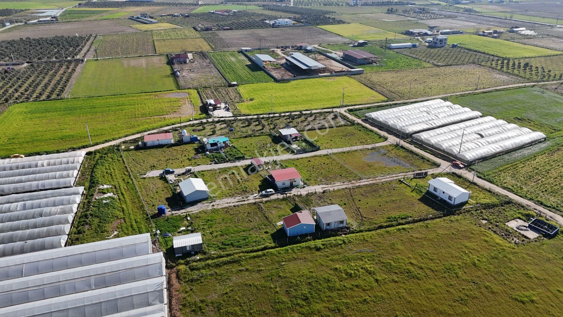İzmir Menderes Tekelide 2tane Yan-yana Noter Satışlı 300 M2 Elektrik+su Var Bahçe - Görsel 28