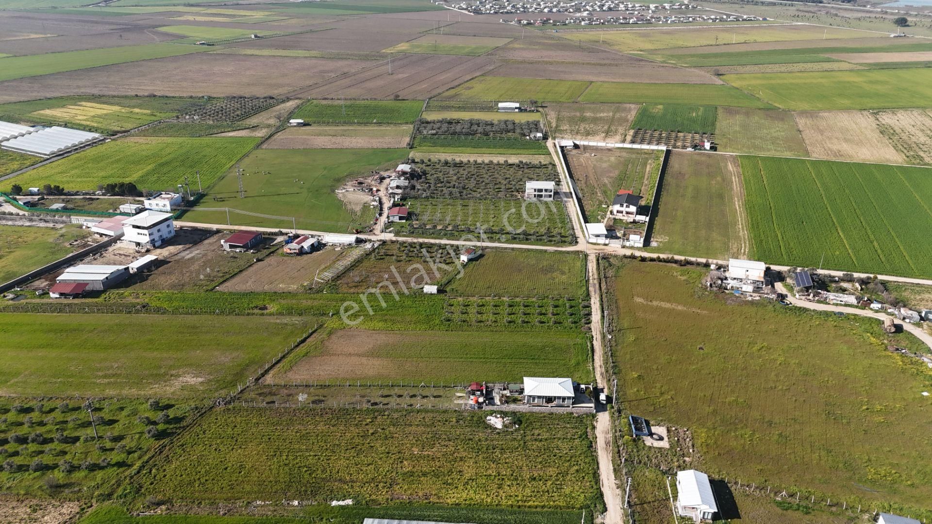 İzmir Menderes Tekelide 2tane Yan-yana Noter Satışlı 300 M2 Elektrik+su Var Bahçe - Görsel 33