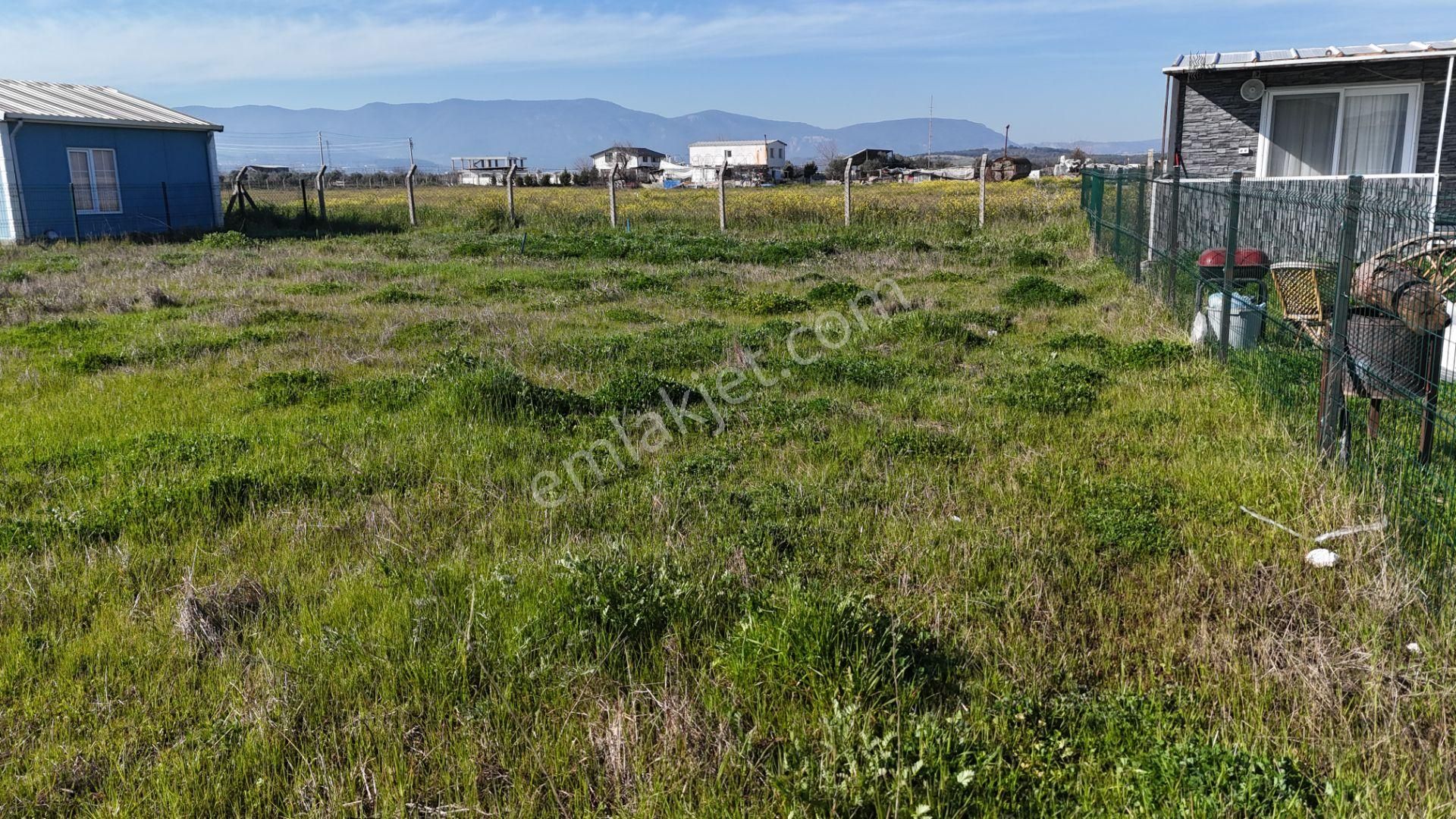 İzmir Menderes Tekelide 2tane Yan-yana Noter Satışlı 300 M2 Elektrik+su Var Bahçe - Görsel 31