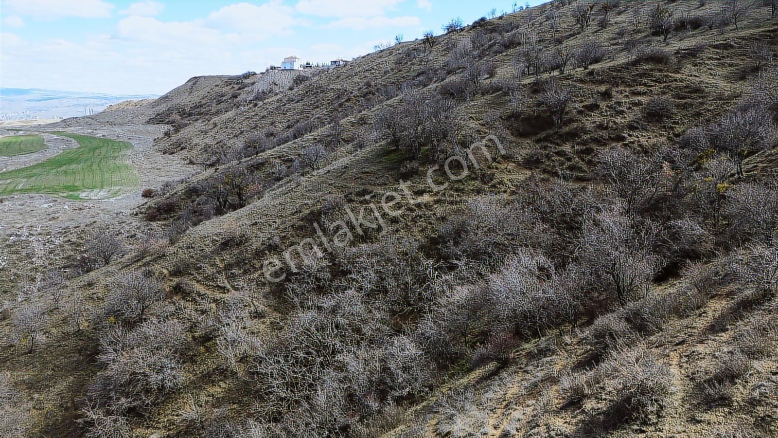 Han'dan Benimde Arsam Olsun Diyenlere 112 M2 Satılık Arsa - Görsel 34