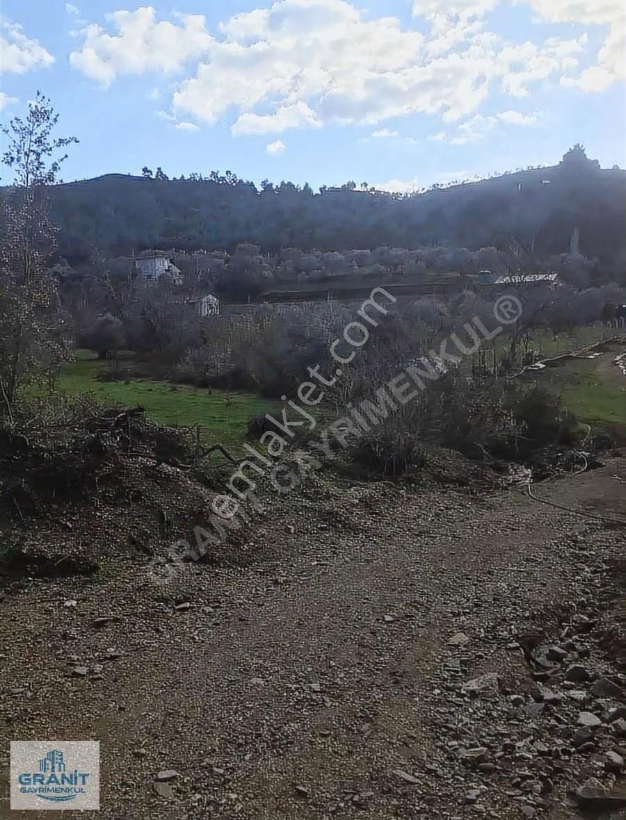 İzmir Kemalpaşa'da Satılık 20.318 M² Zeytinlik - Müstakil Tapulu - Görsel 23